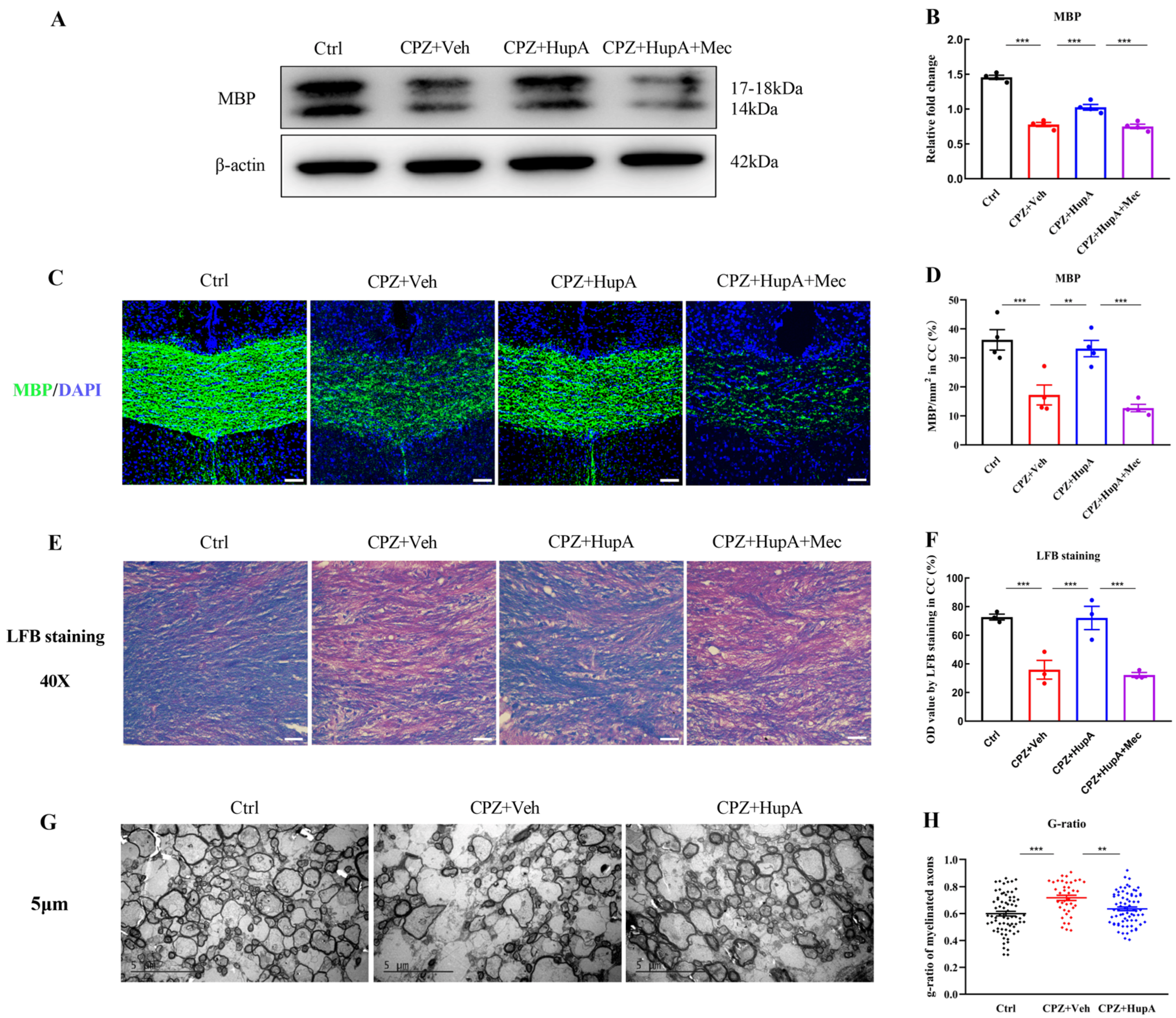 Ijms 23 16182 g003 Ijms 23 16182 g003