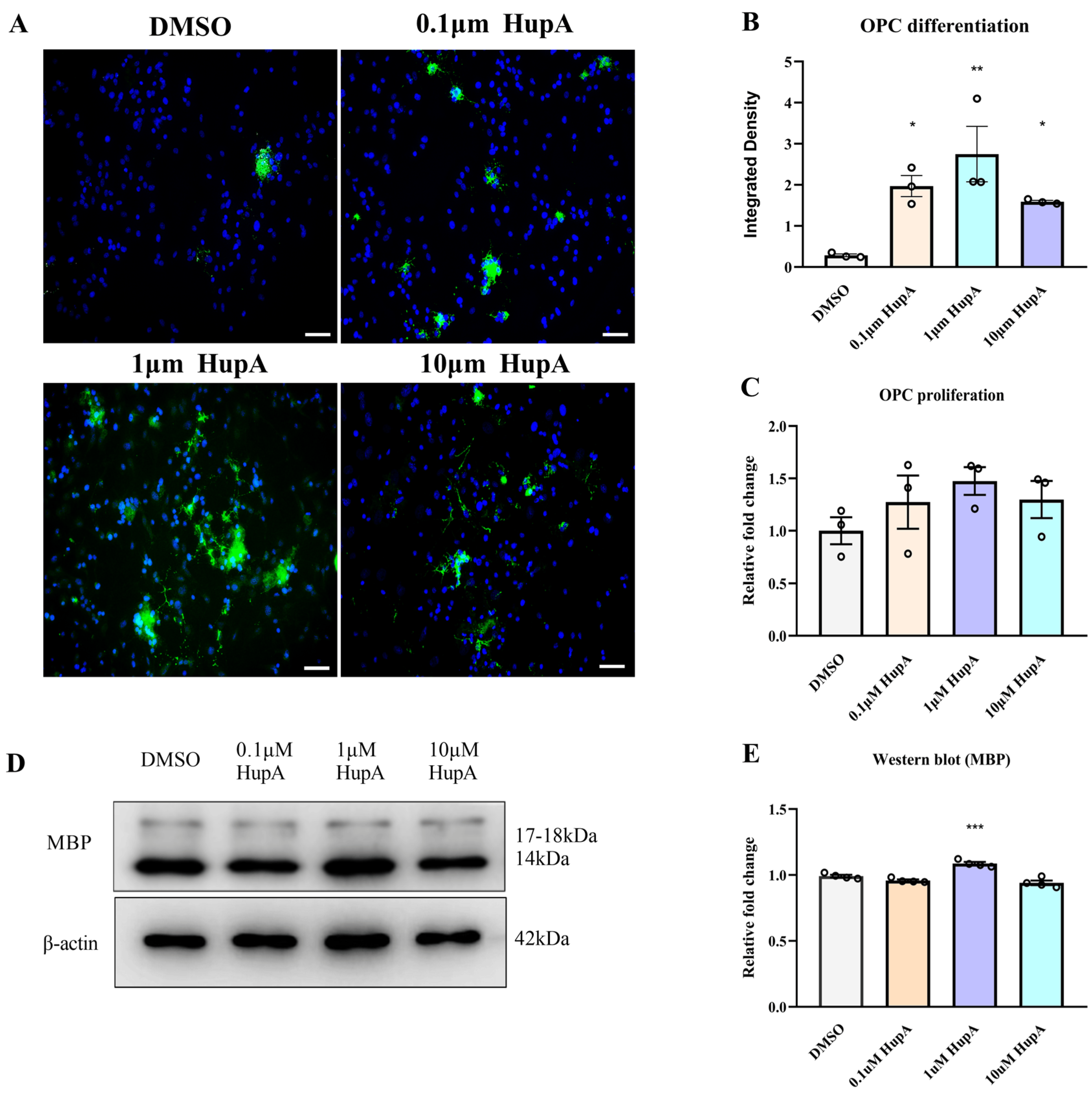 Ijms 23 16182 g005 Ijms 23 16182 g005