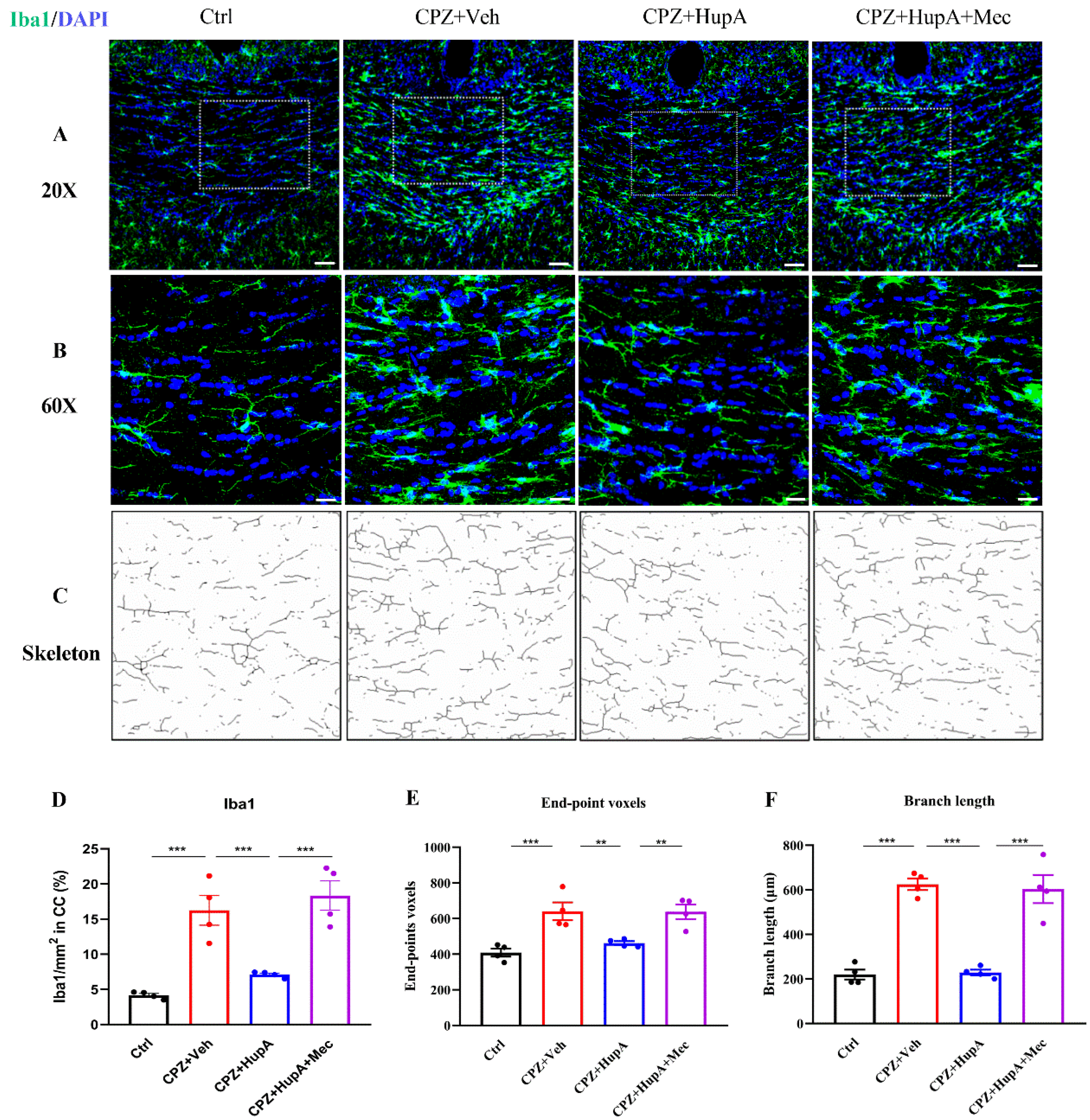 Ijms 23 16182 g006 Ijms 23 16182 g006