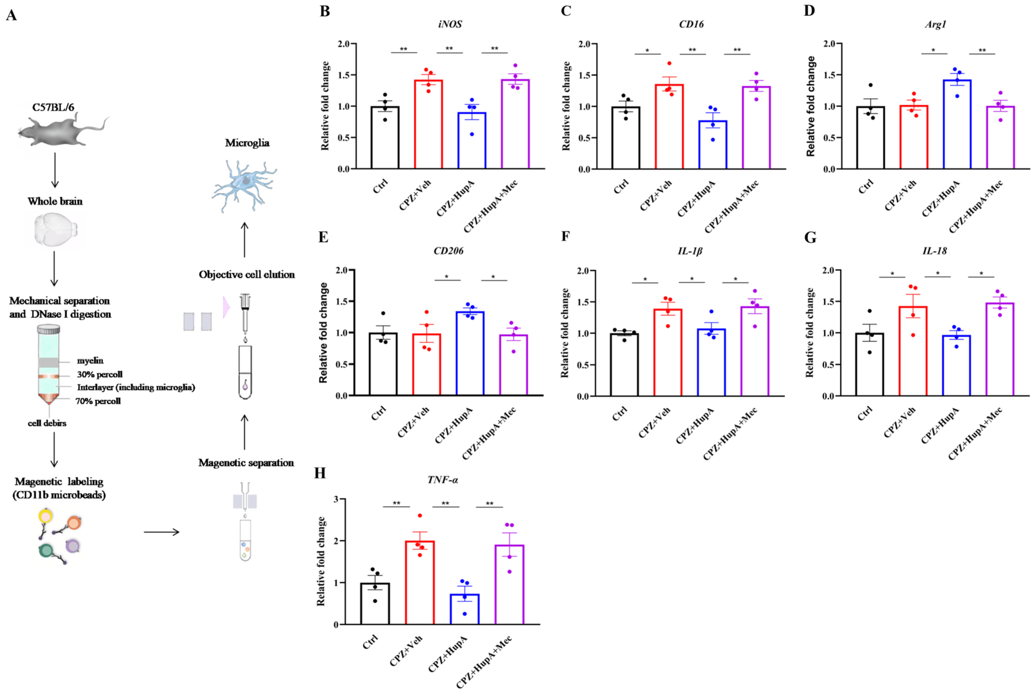 Ijms 23 16182 g007 Ijms 23 16182 g007
