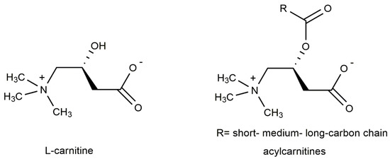 Acylcarnitines in Ophthalmology: Promising Emerging Biomarkers