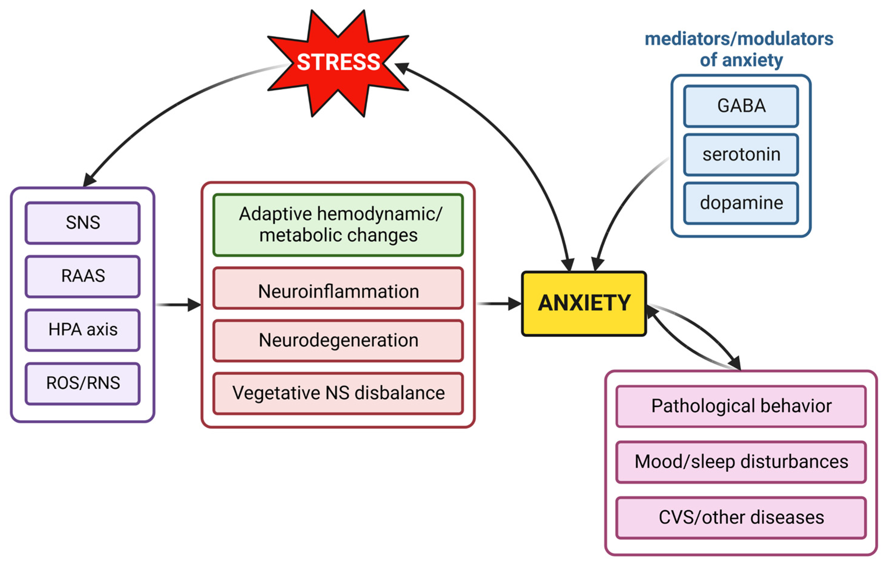 Gamma Aminobutyric Acid Powder Help Reduce Anxiety And Stress
