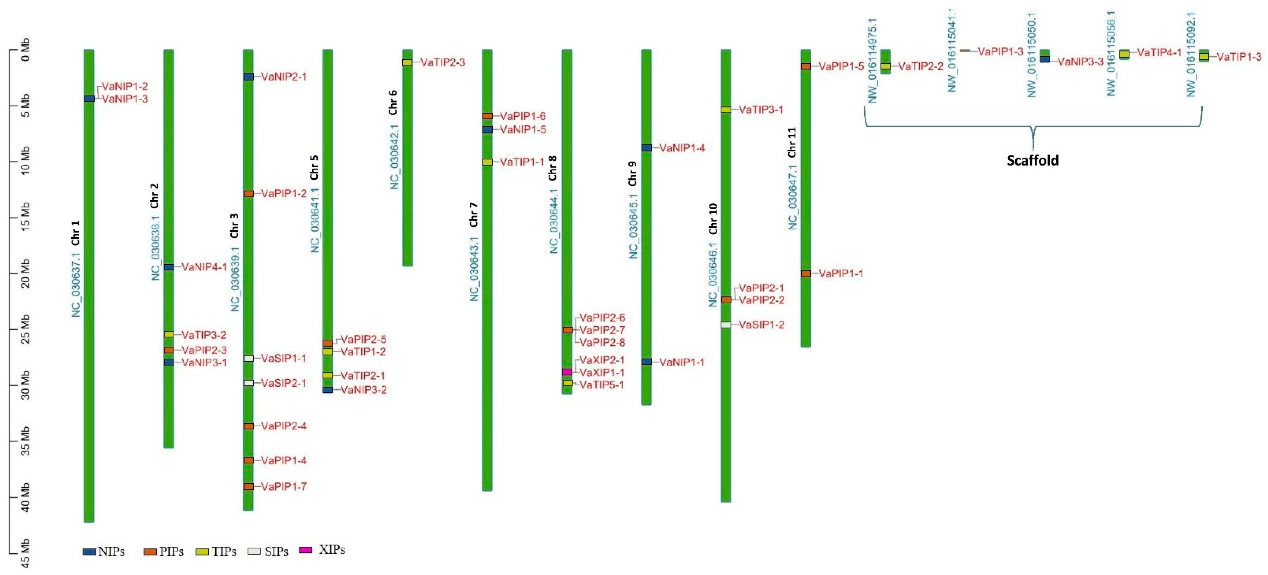 Ijms 23 16189 g001 Ijms 23 16189 g001