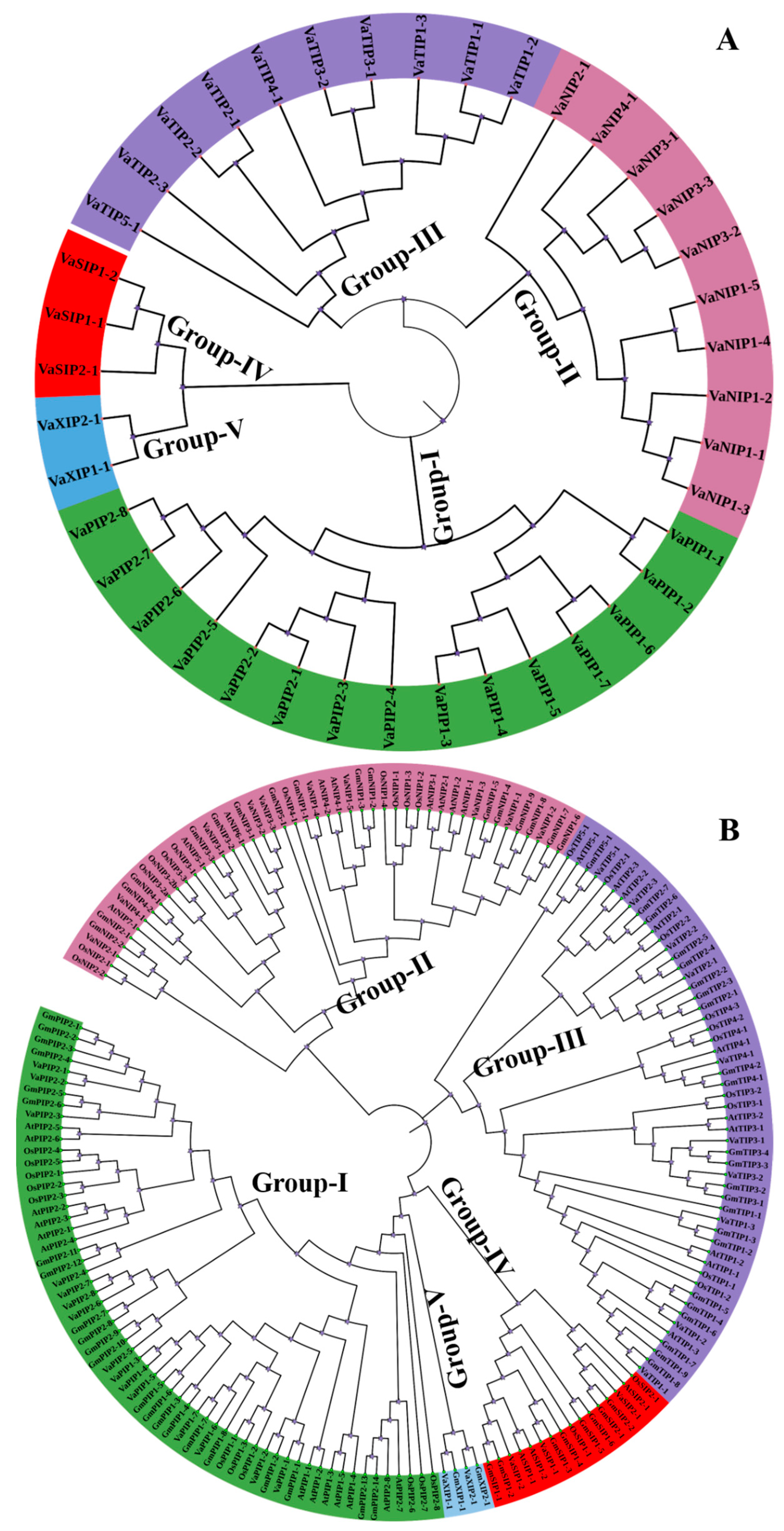 Ijms 23 16189 g002 Ijms 23 16189 g002