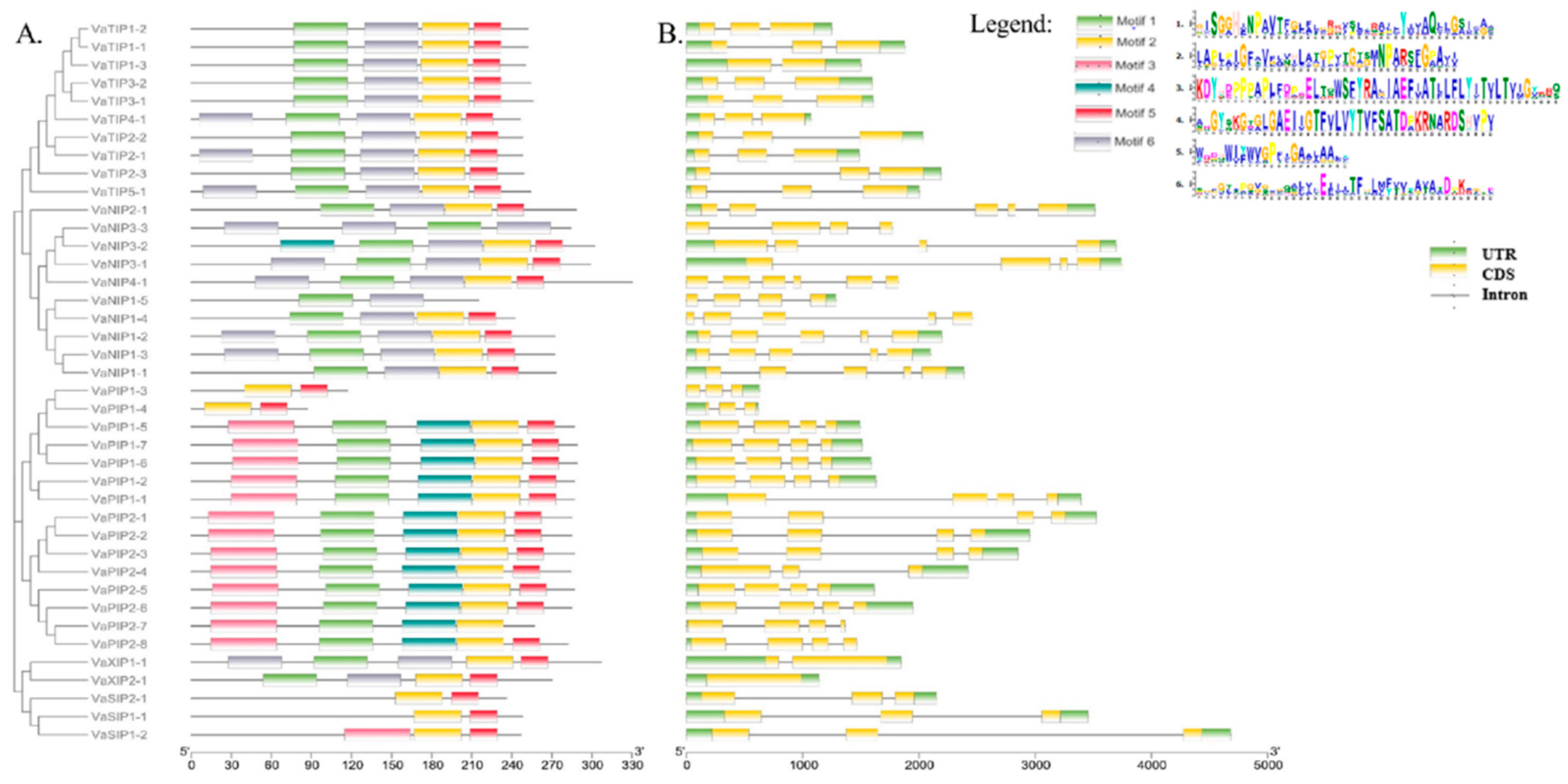 Ijms 23 16189 g003 Ijms 23 16189 g003