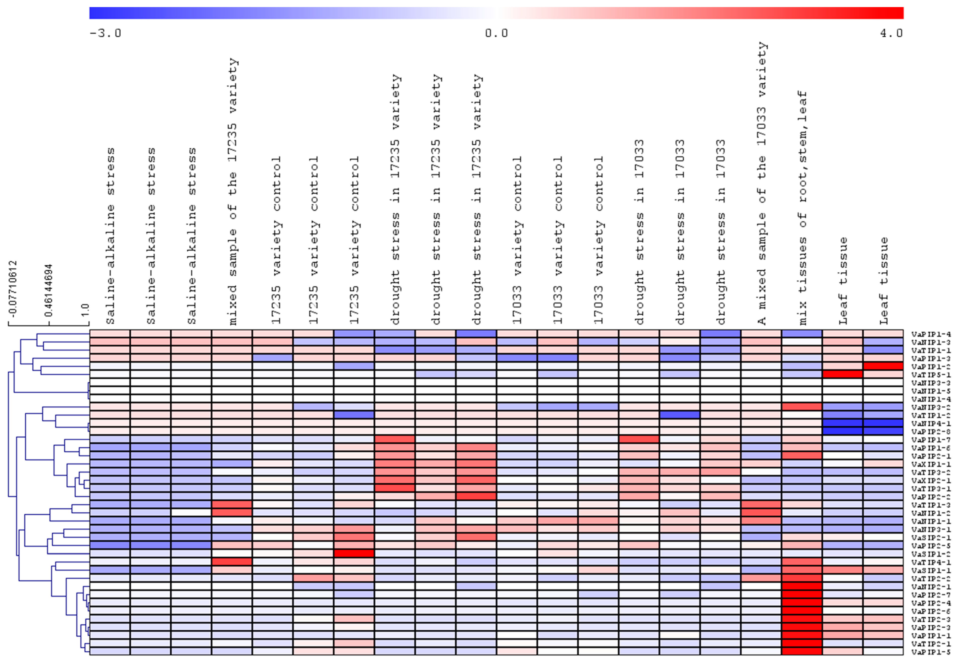Ijms 23 16189 g006 Ijms 23 16189 g006