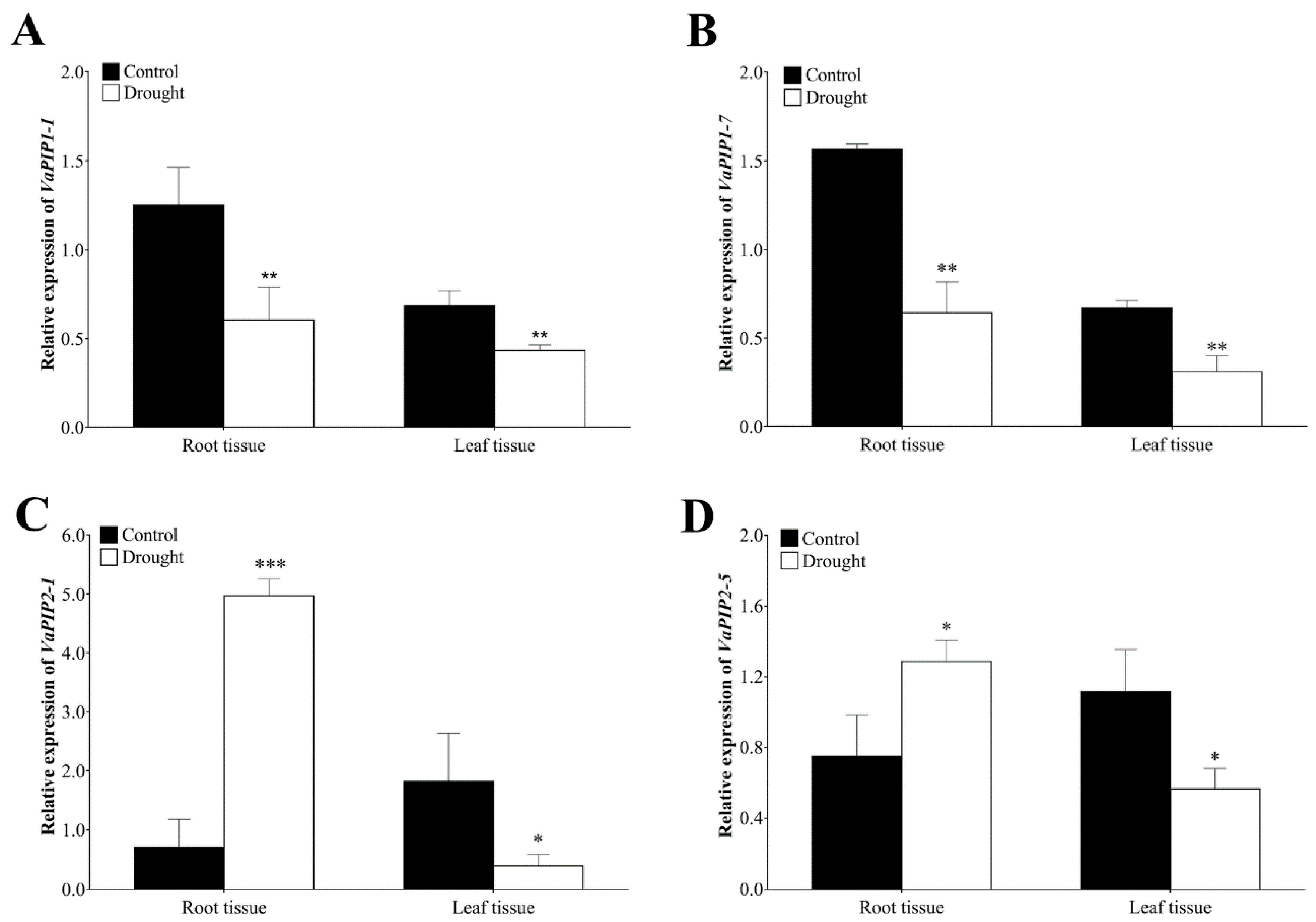 Ijms 23 16189 g007 Ijms 23 16189 g007