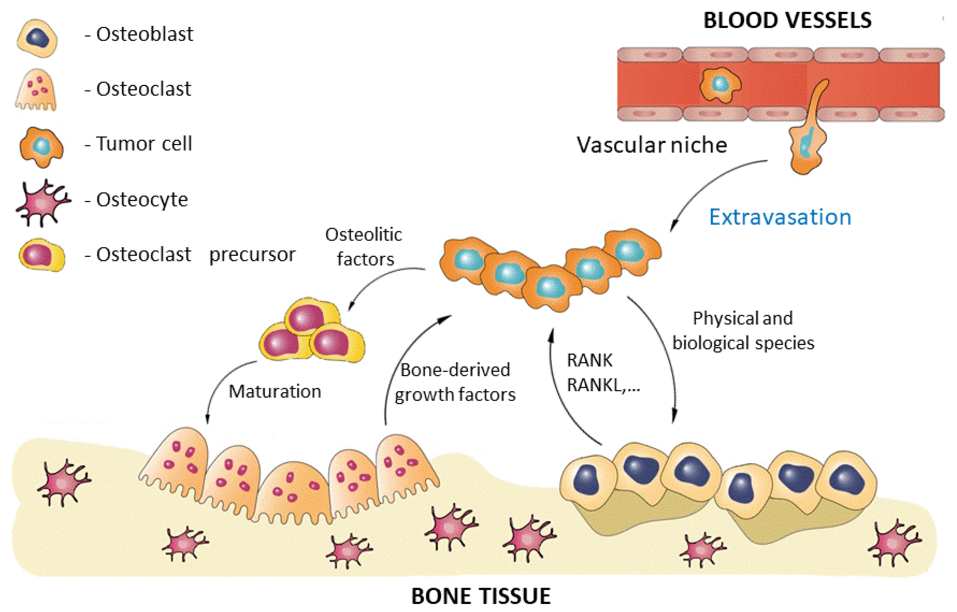 Ijms 23 16190 g002 Ijms 23 16190 g002
