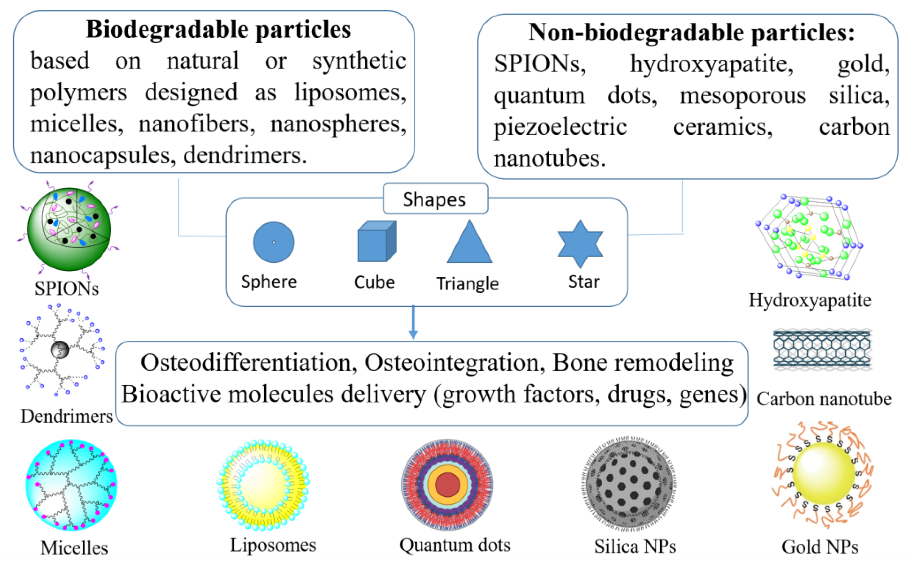 Ijms 23 16190 g004 Ijms 23 16190 g004