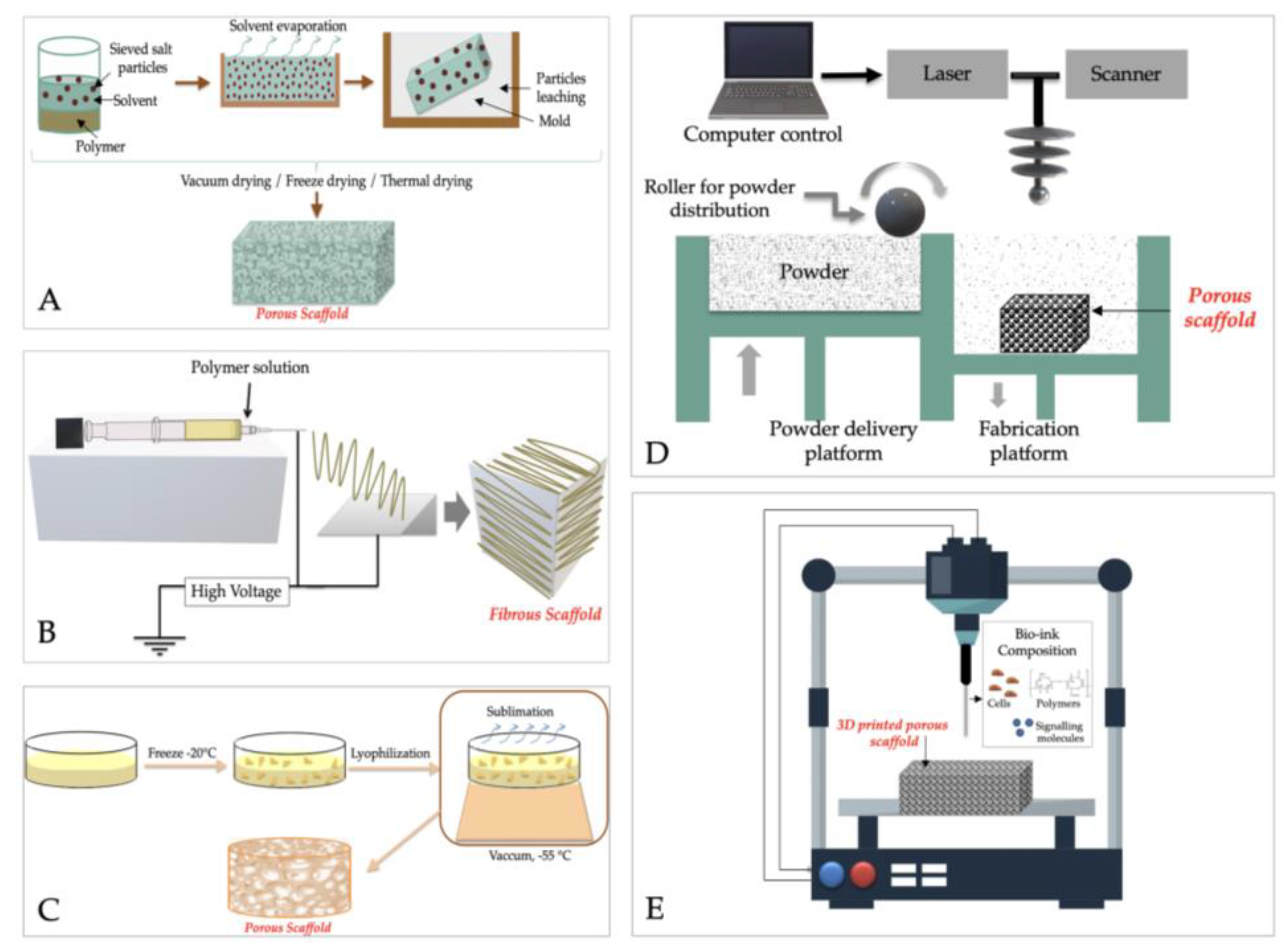 Ijms 23 16190 g005 Ijms 23 16190 g005