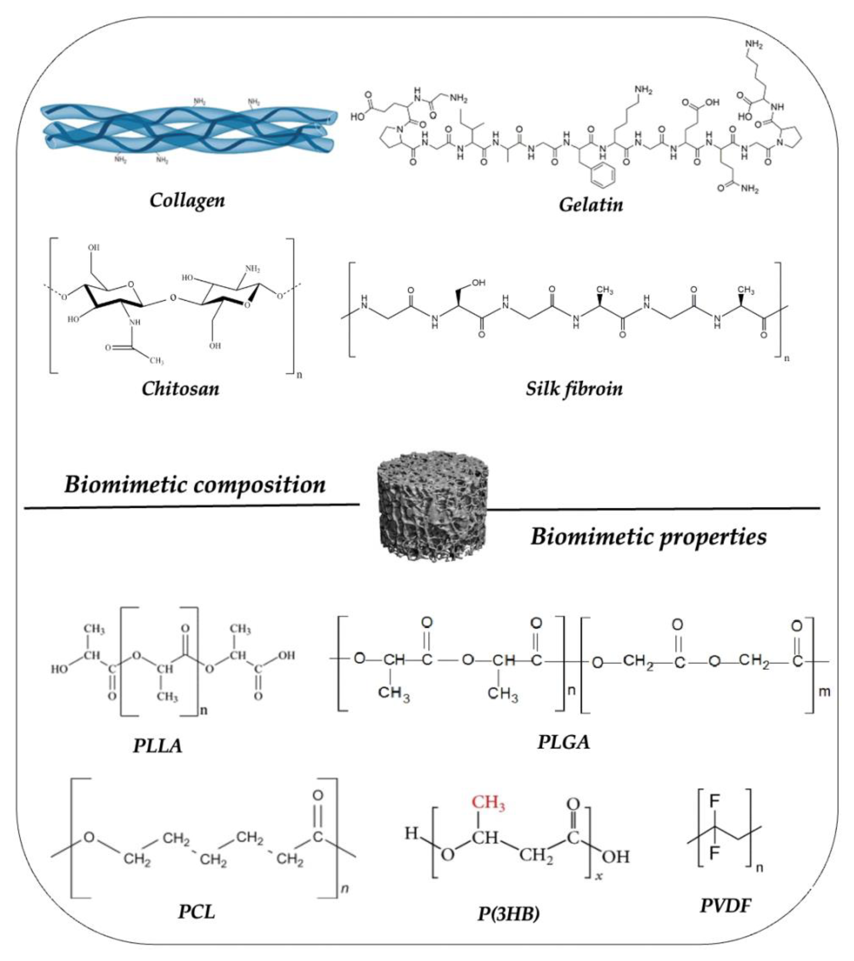 Ijms 23 16190 g006 Ijms 23 16190 g006