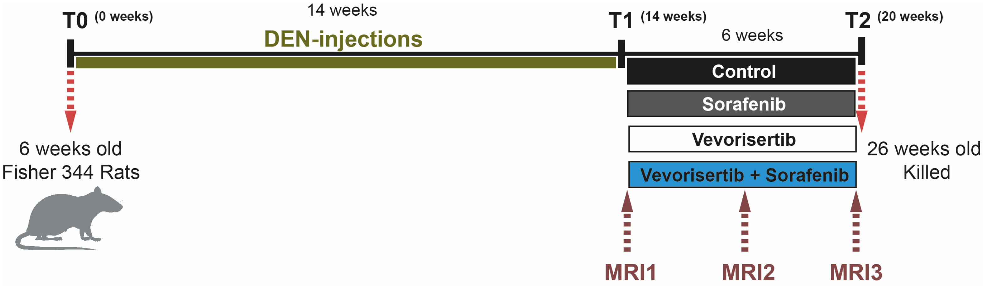 Ijms 23 16206 g001 Ijms 23 16206 g001