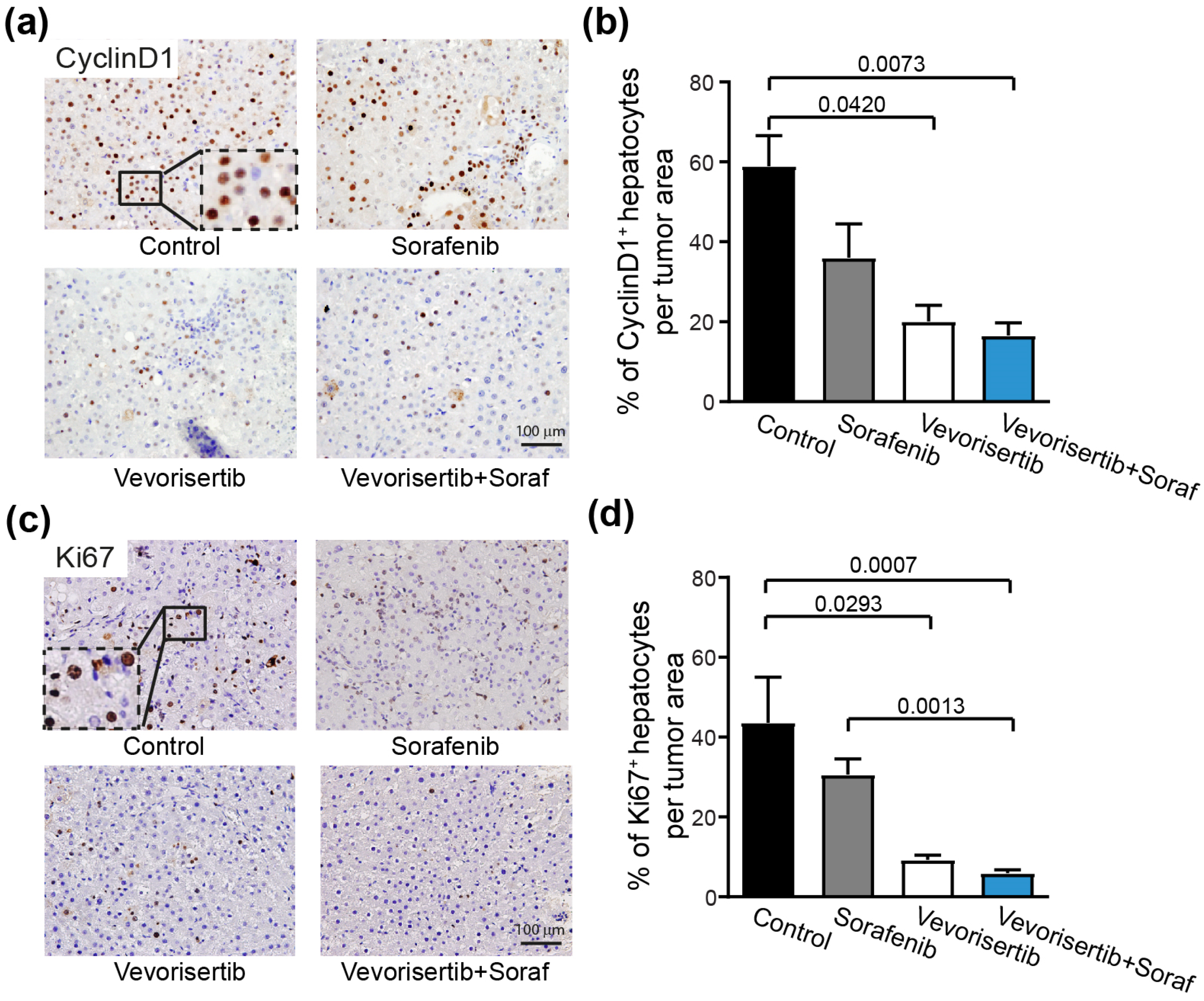 Ijms 23 16206 g003 Ijms 23 16206 g003