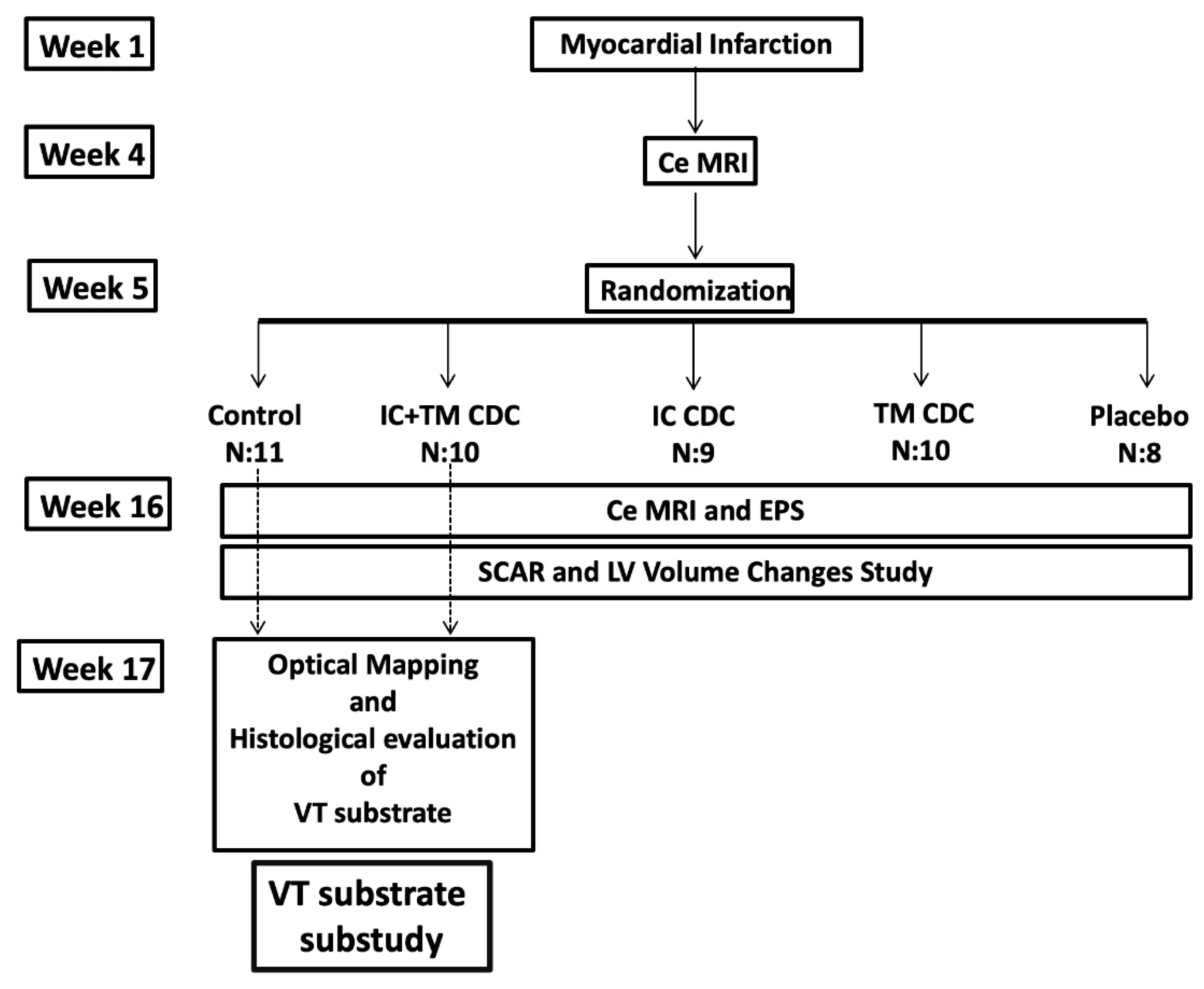 Ijms 23 16211 g008 Ijms 23 16211 g008