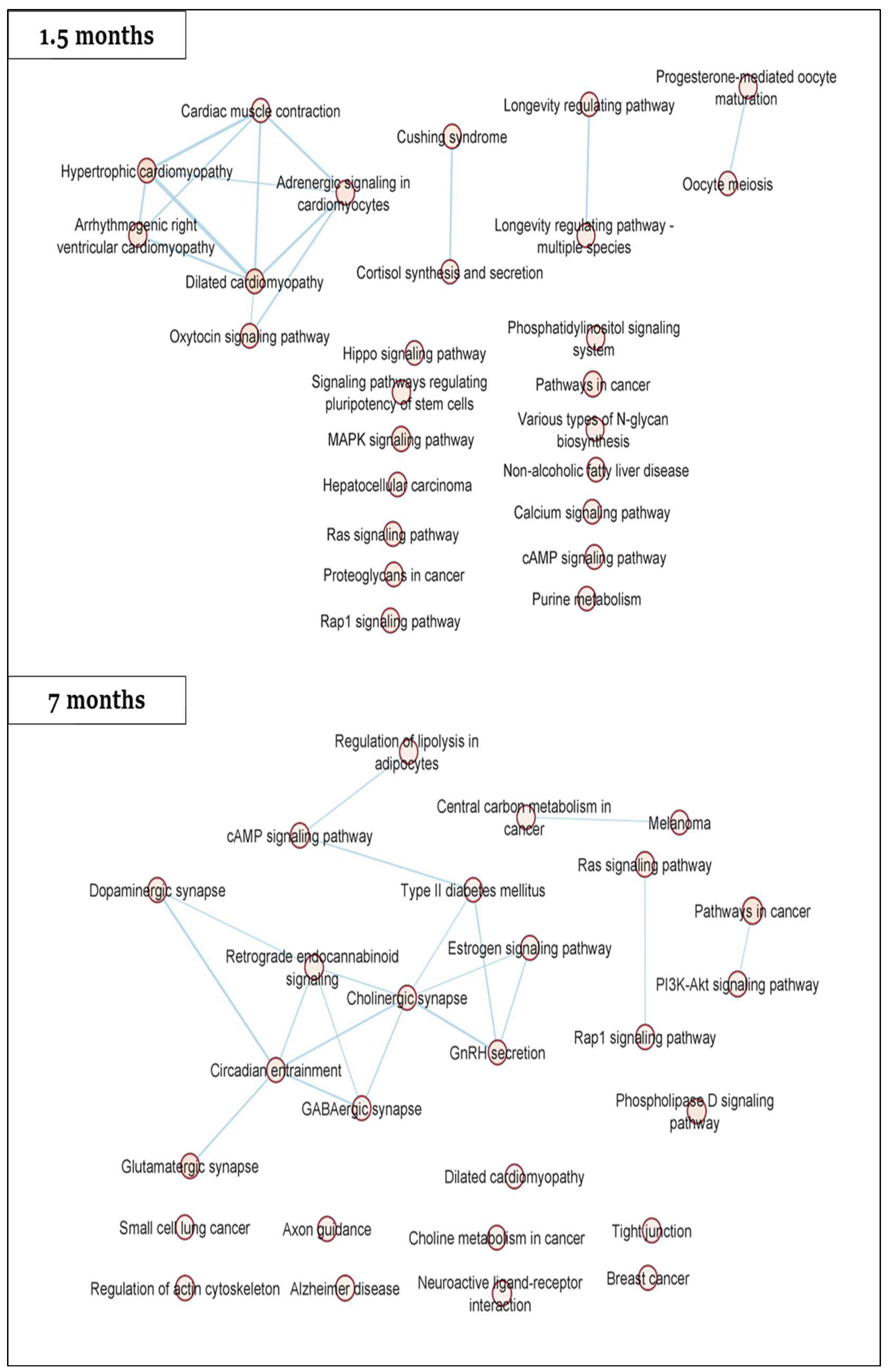 Ijms 23 16214 g003 Ijms 23 16214 g003