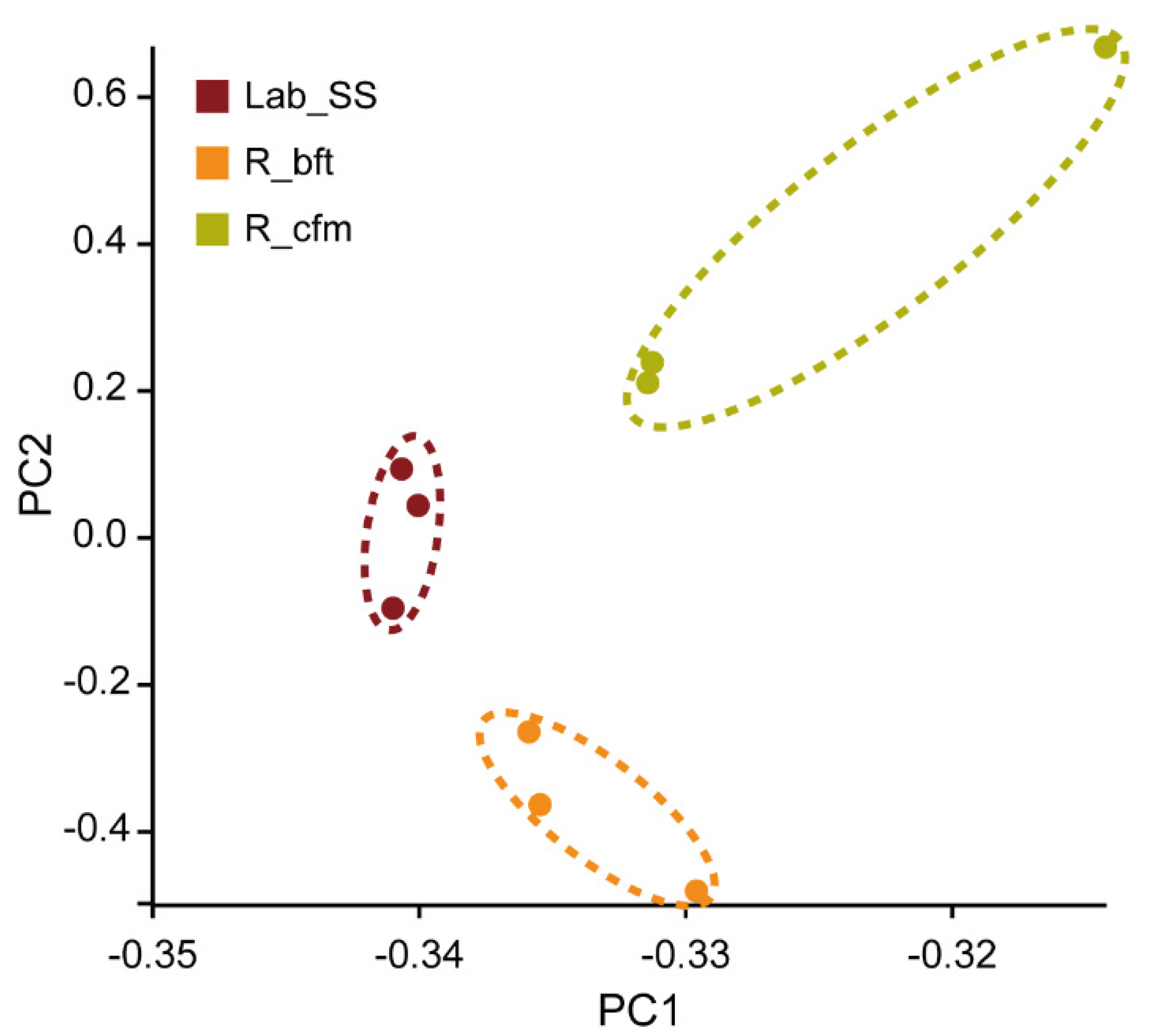 Ijms 23 16220 g003 Ijms 23 16220 g003
