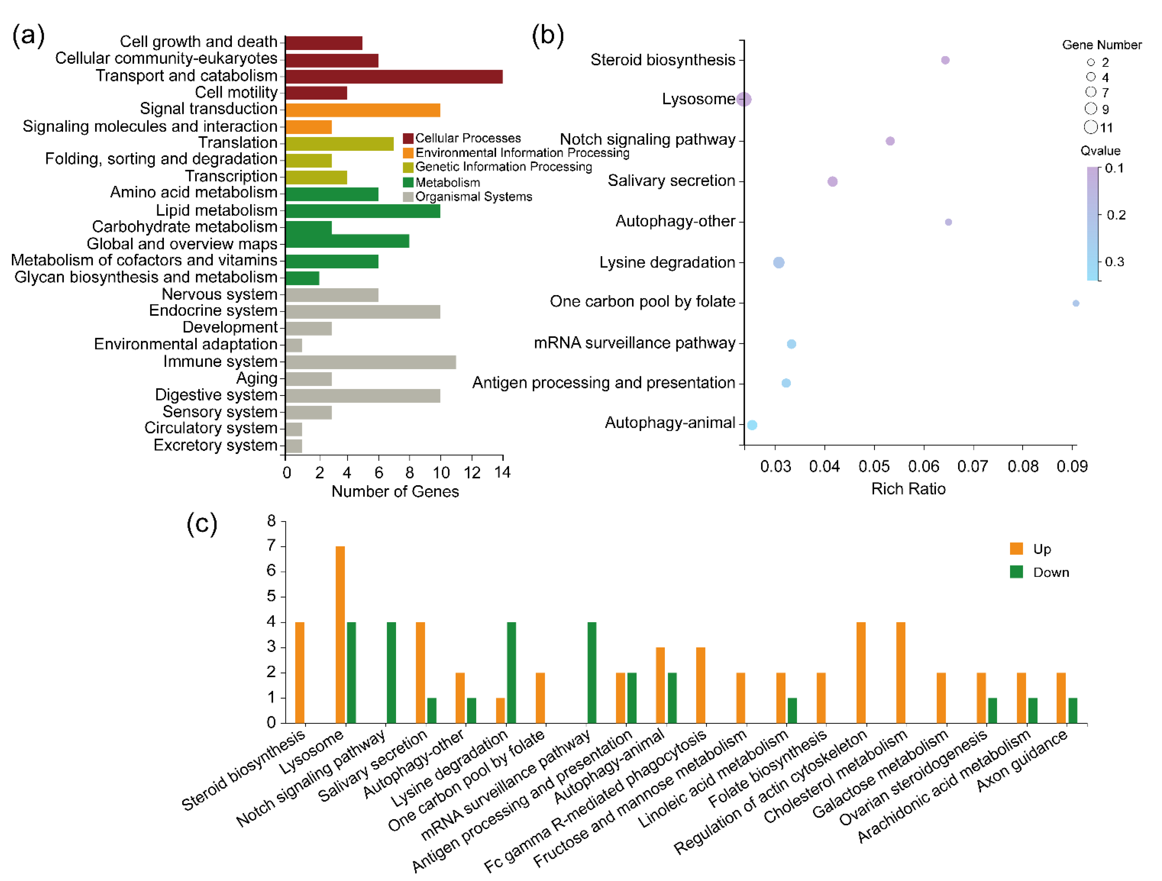 Ijms 23 16220 g007 Ijms 23 16220 g007