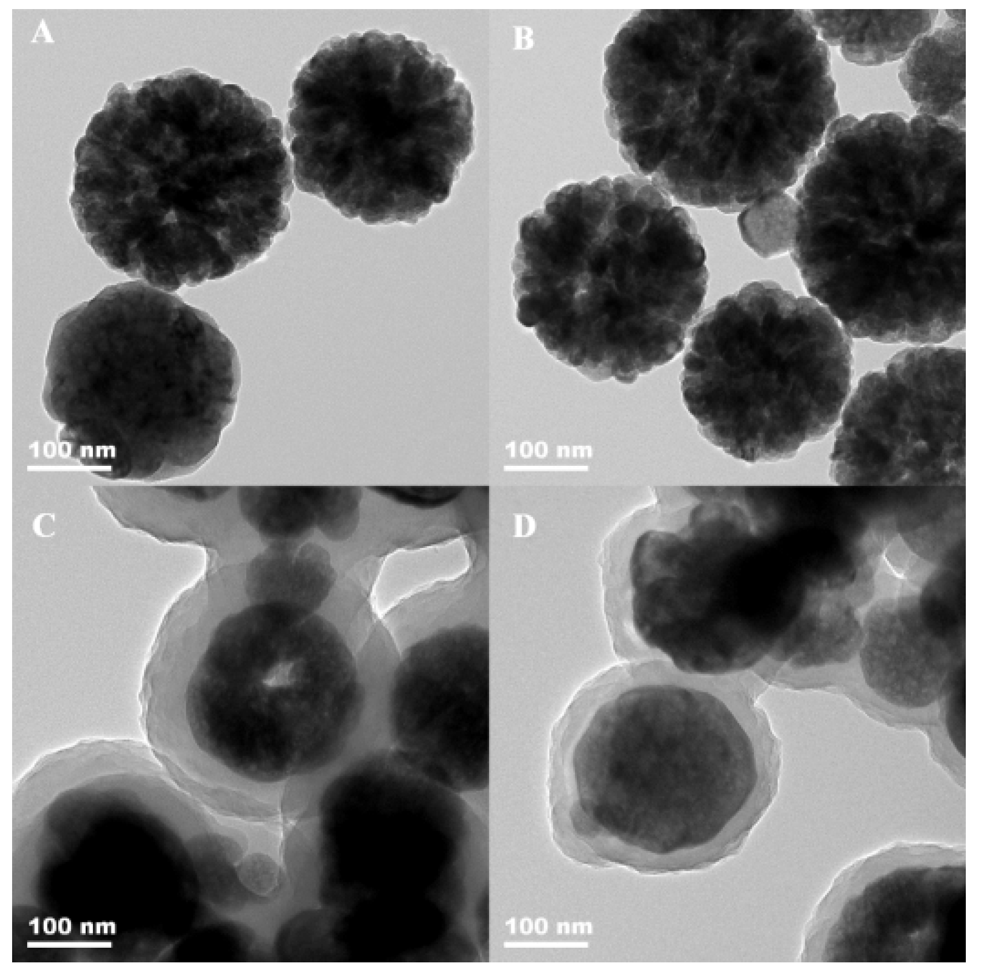 Ijms 23 16227 g001 Ijms 23 16227 g001