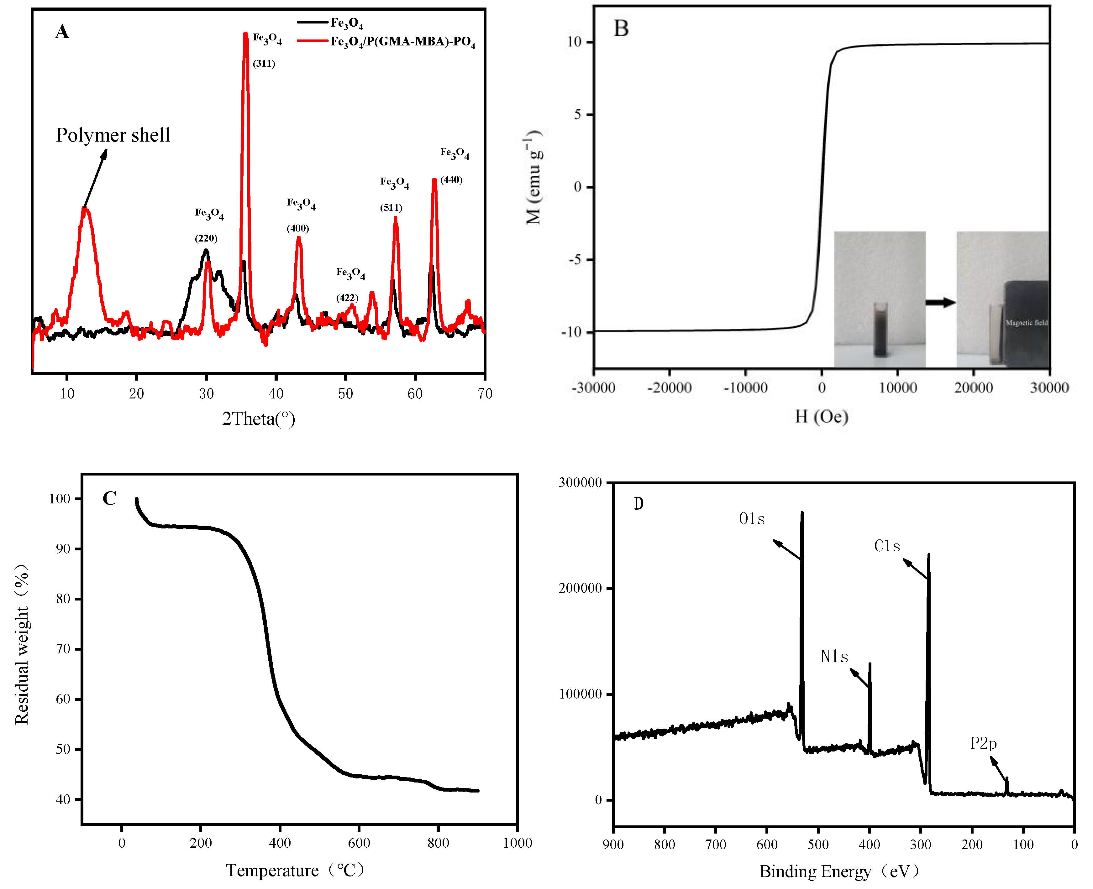 Ijms 23 16227 g003 Ijms 23 16227 g003