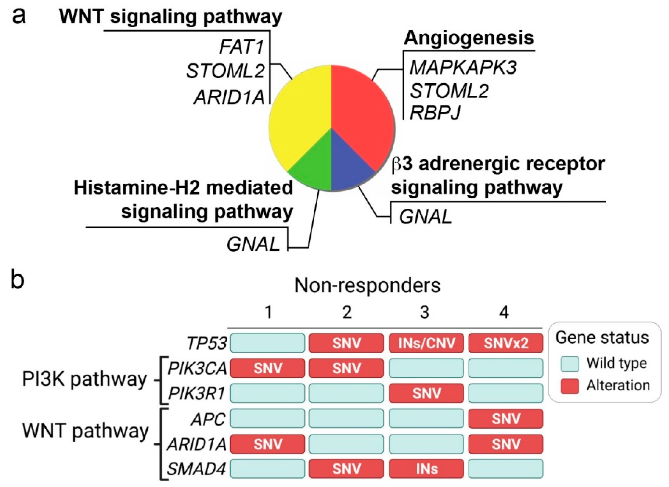 Ijms 24 00001 g002 Ijms 24 00001 g002
