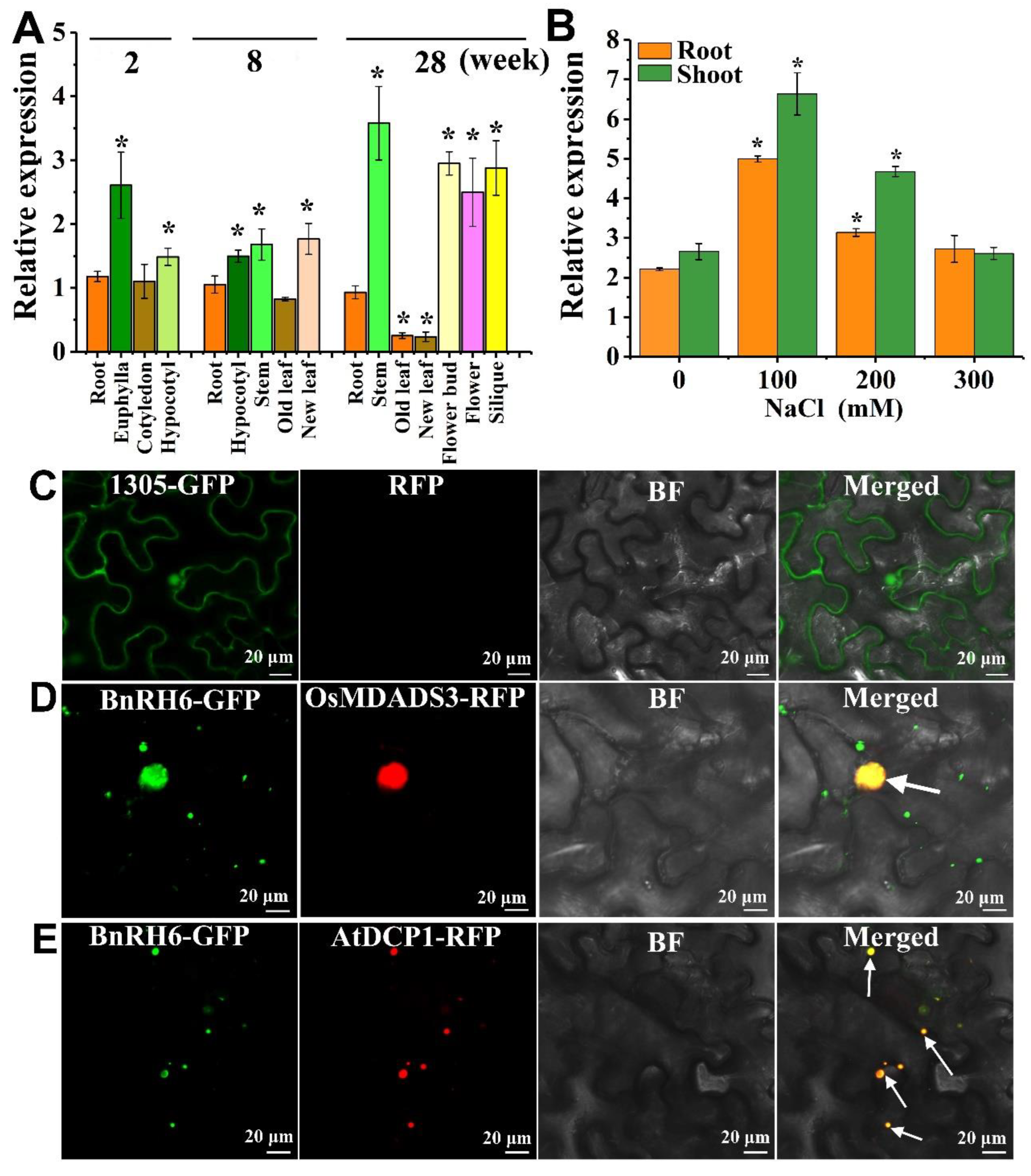 Ijms 24 00002 g001 Ijms 24 00002 g001