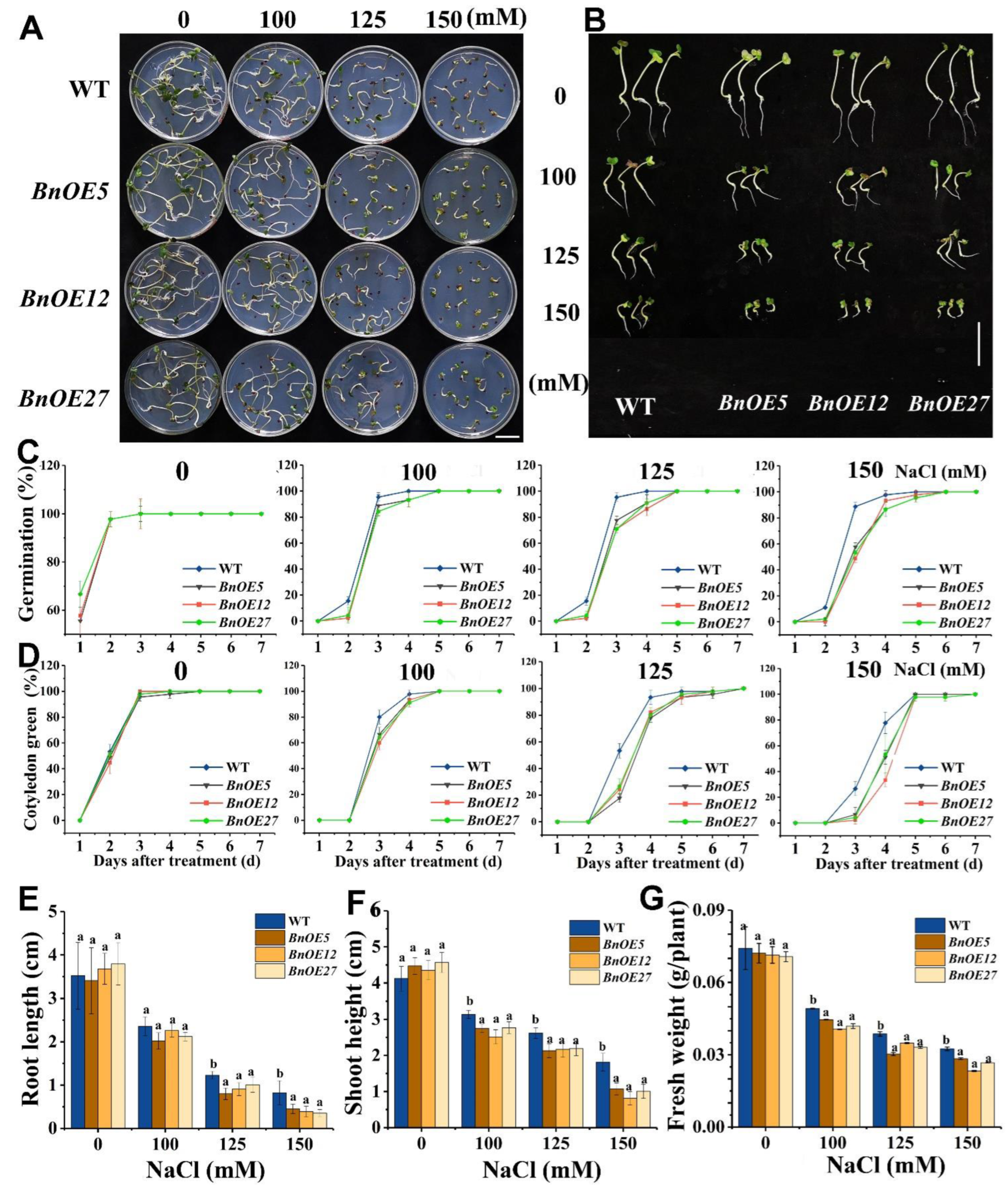 Ijms 24 00002 g002 Ijms 24 00002 g002