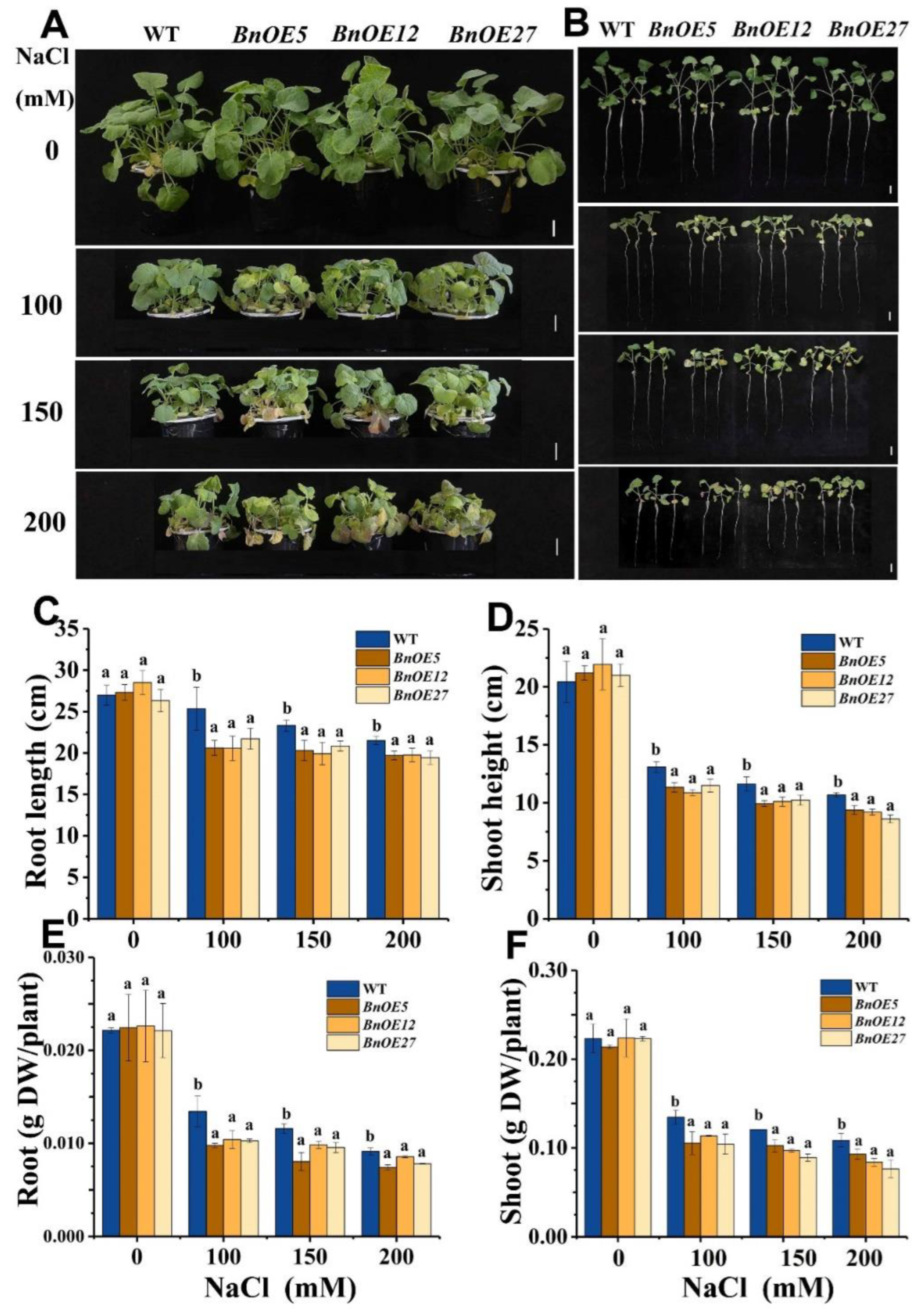 Ijms 24 00002 g003 Ijms 24 00002 g003