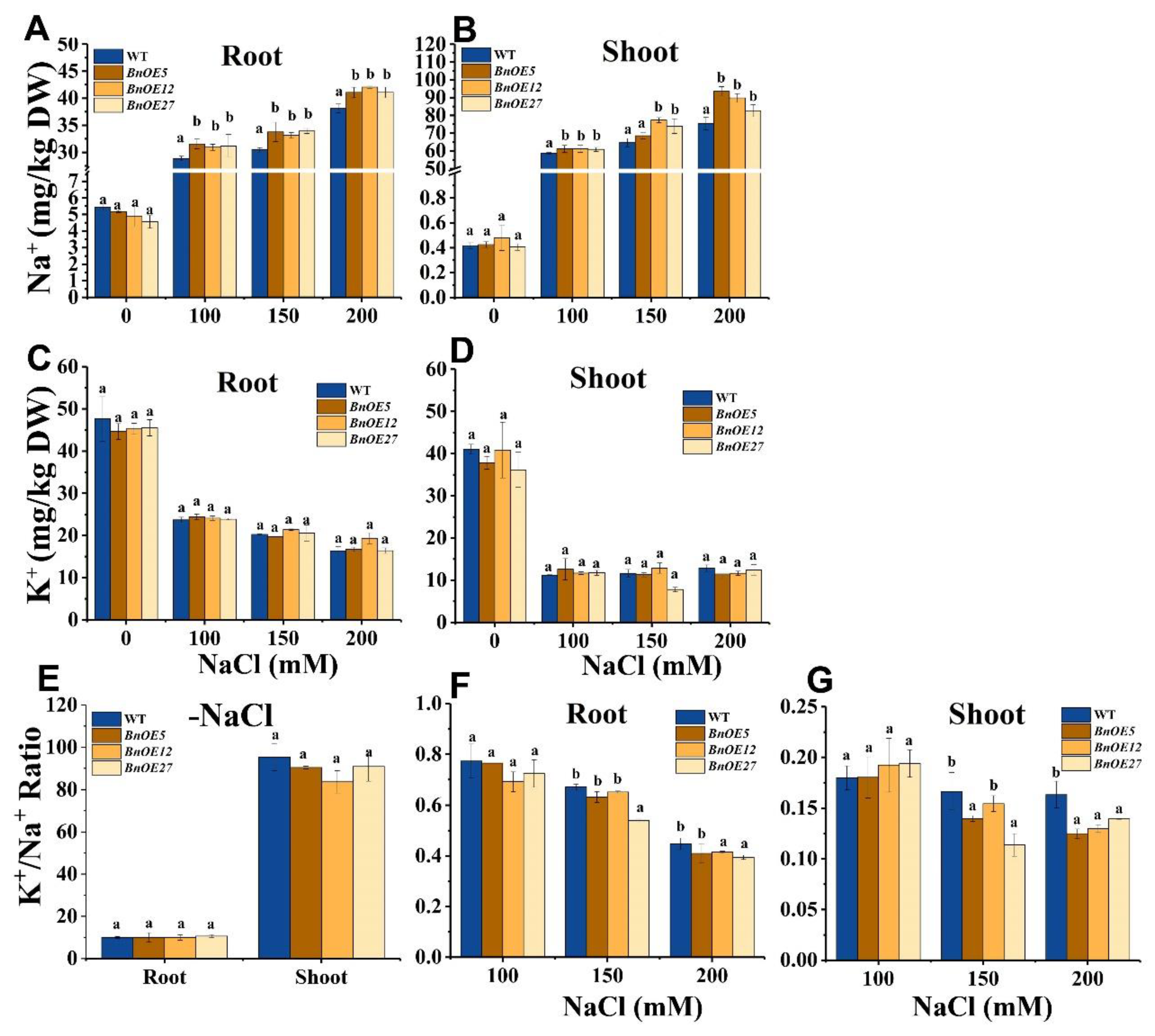 Ijms 24 00002 g005 Ijms 24 00002 g005