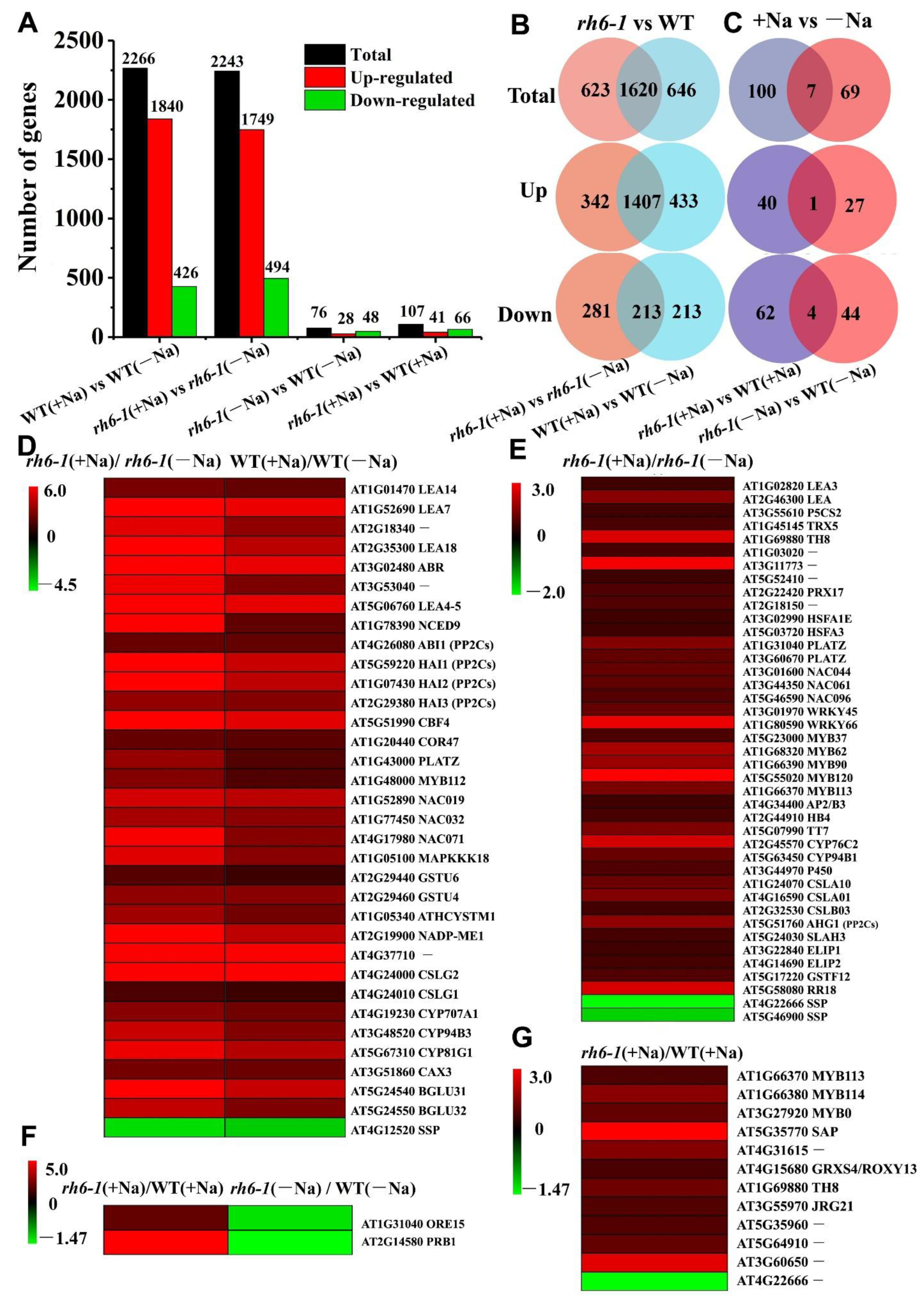 Ijms 24 00002 g006 Ijms 24 00002 g006