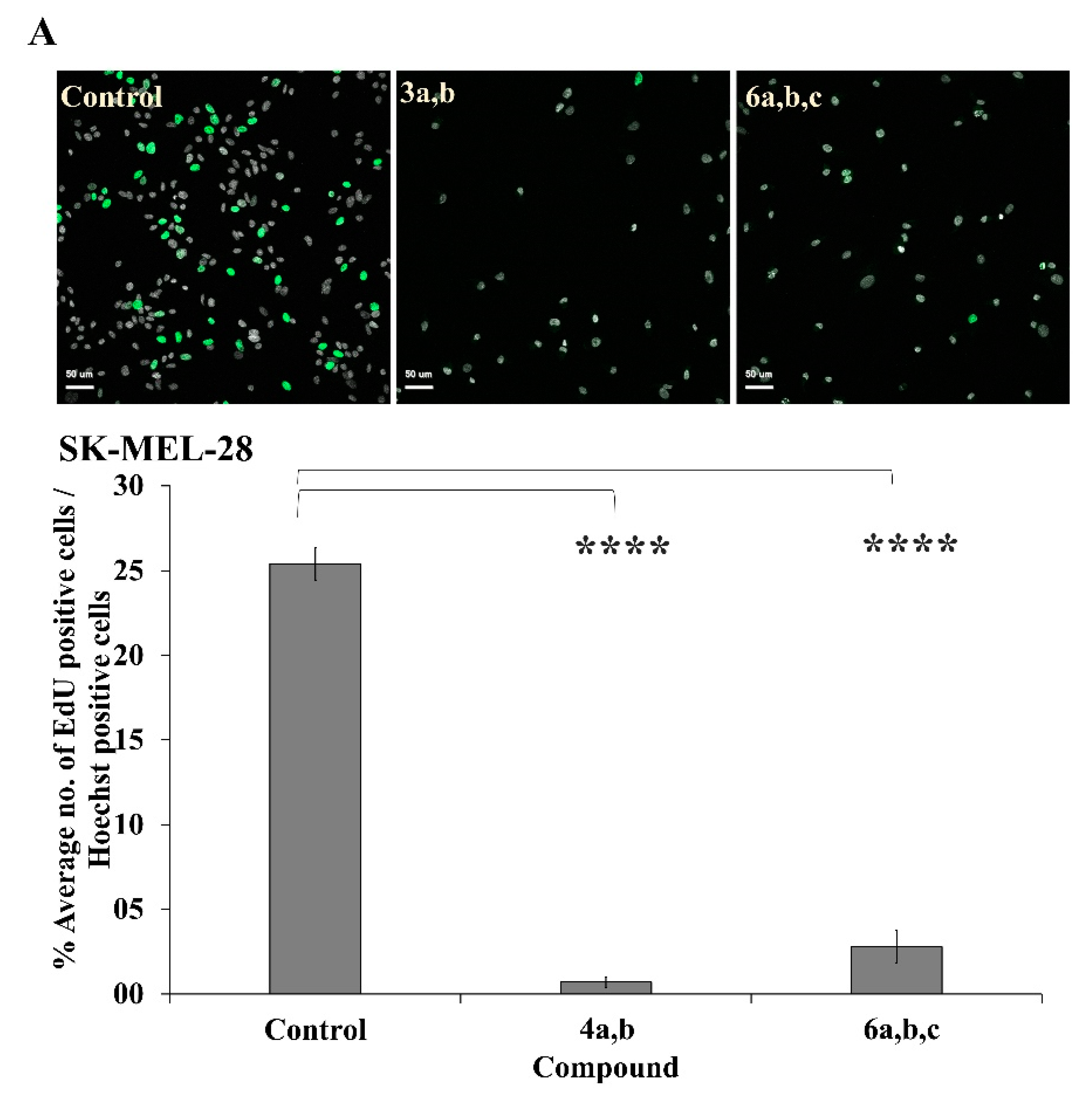 Ijms 24 00003 g007a Ijms 24 00003 g007a
