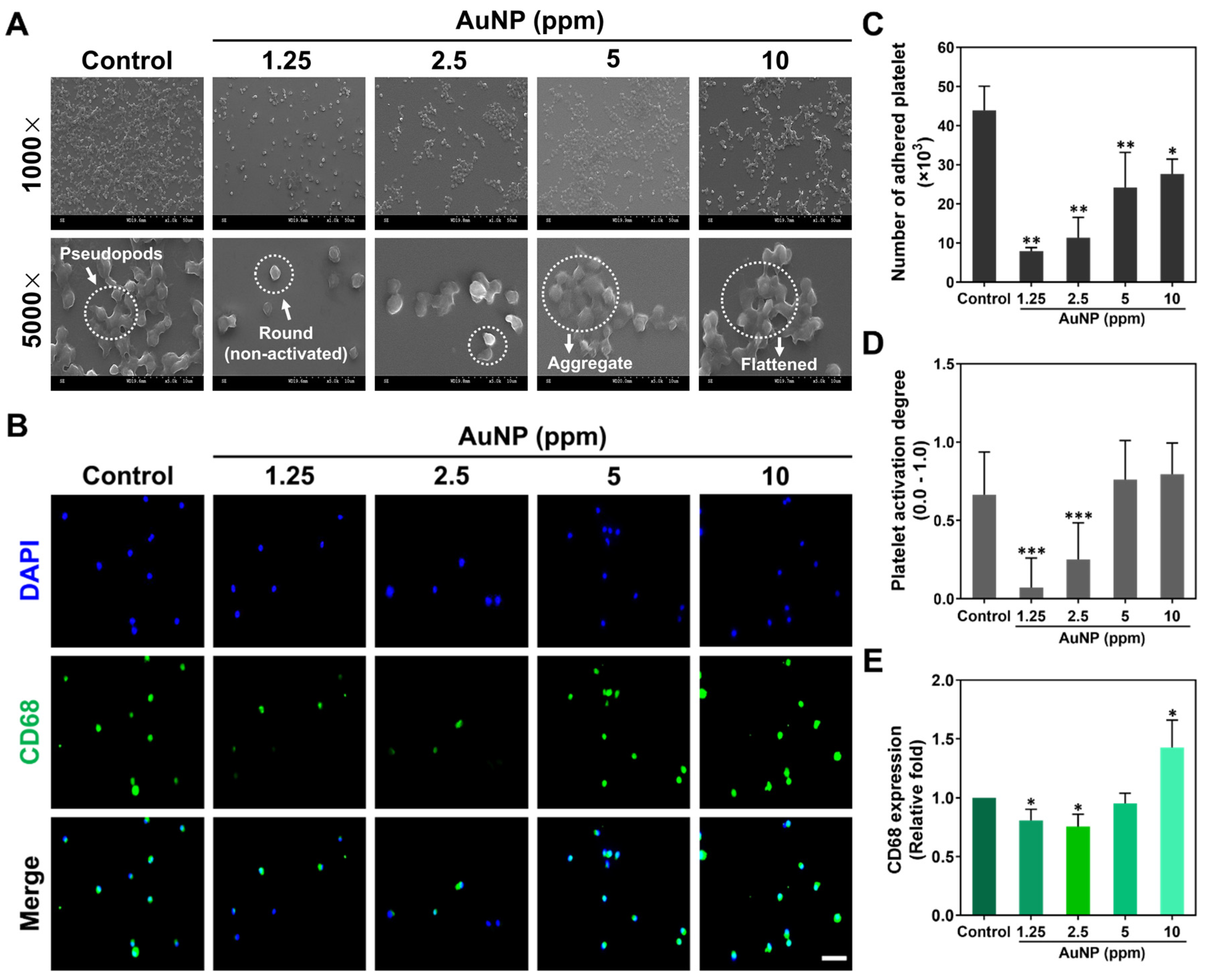 Ijms 24 00005 g003 Ijms 24 00005 g003