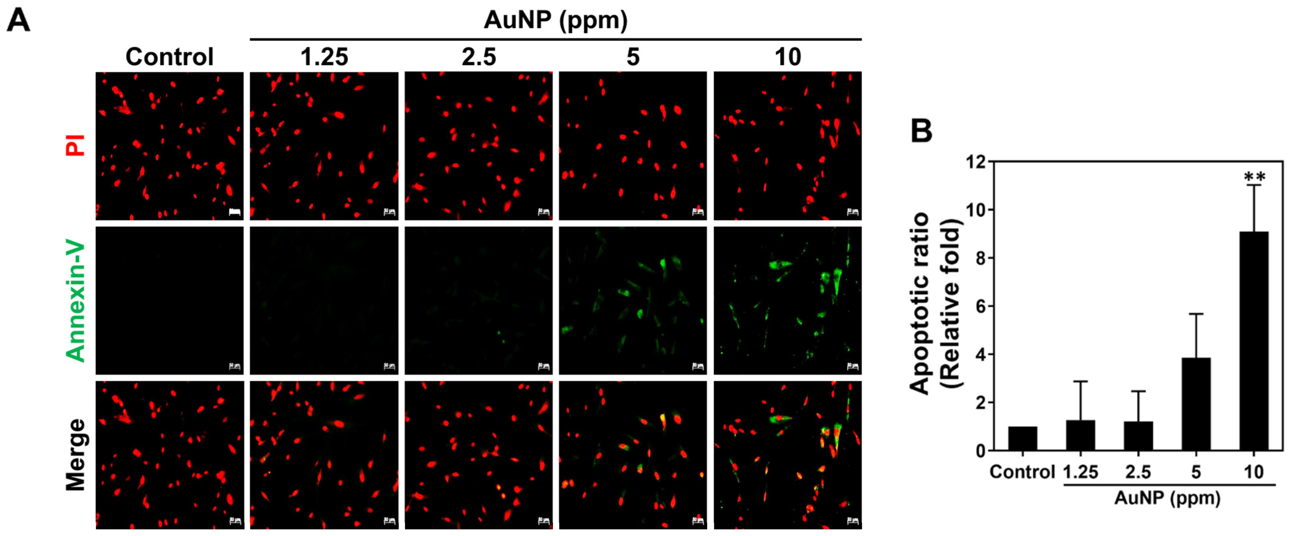 Ijms 24 00005 g007 Ijms 24 00005 g007