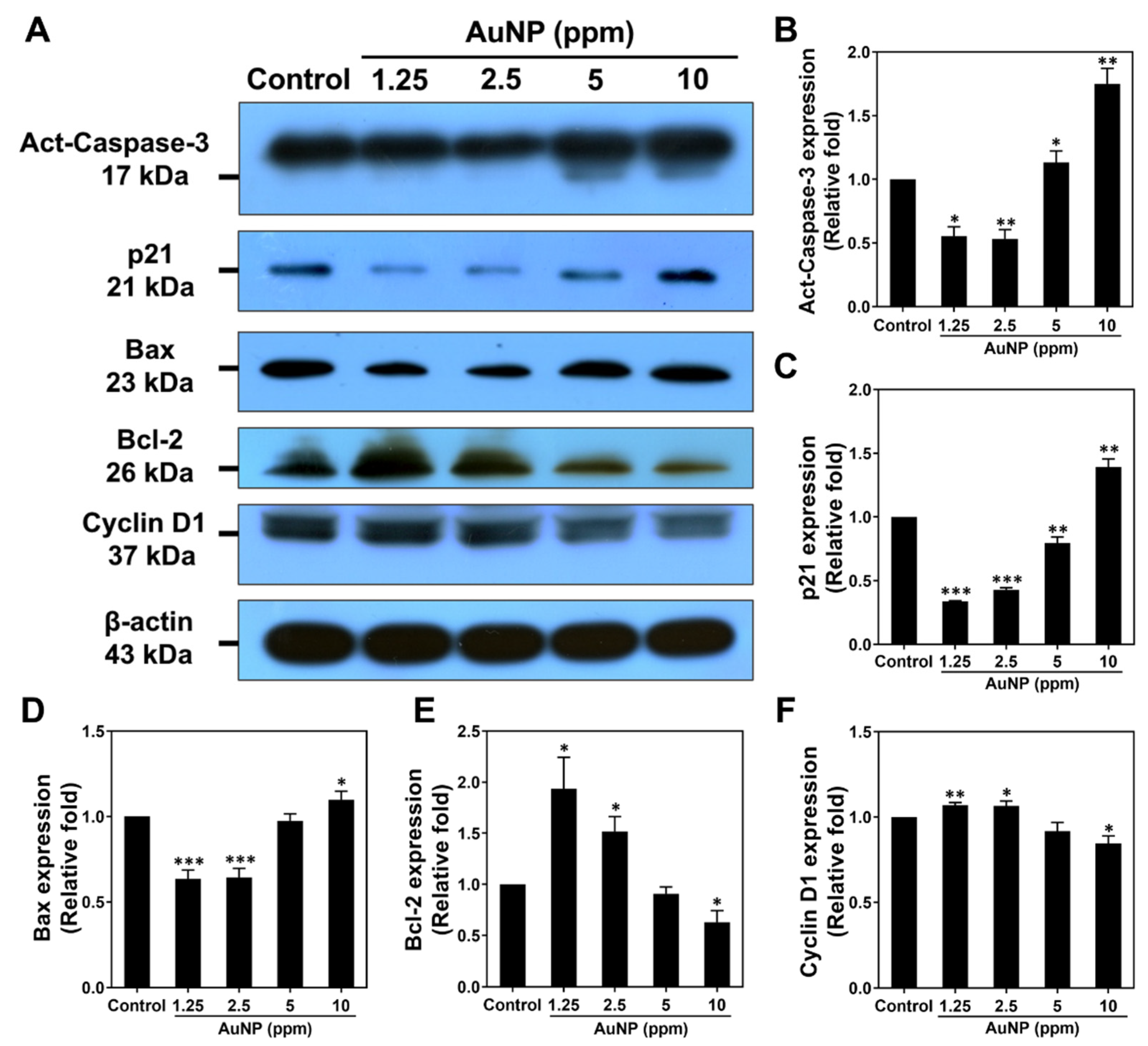 Ijms 24 00005 g008 Ijms 24 00005 g008