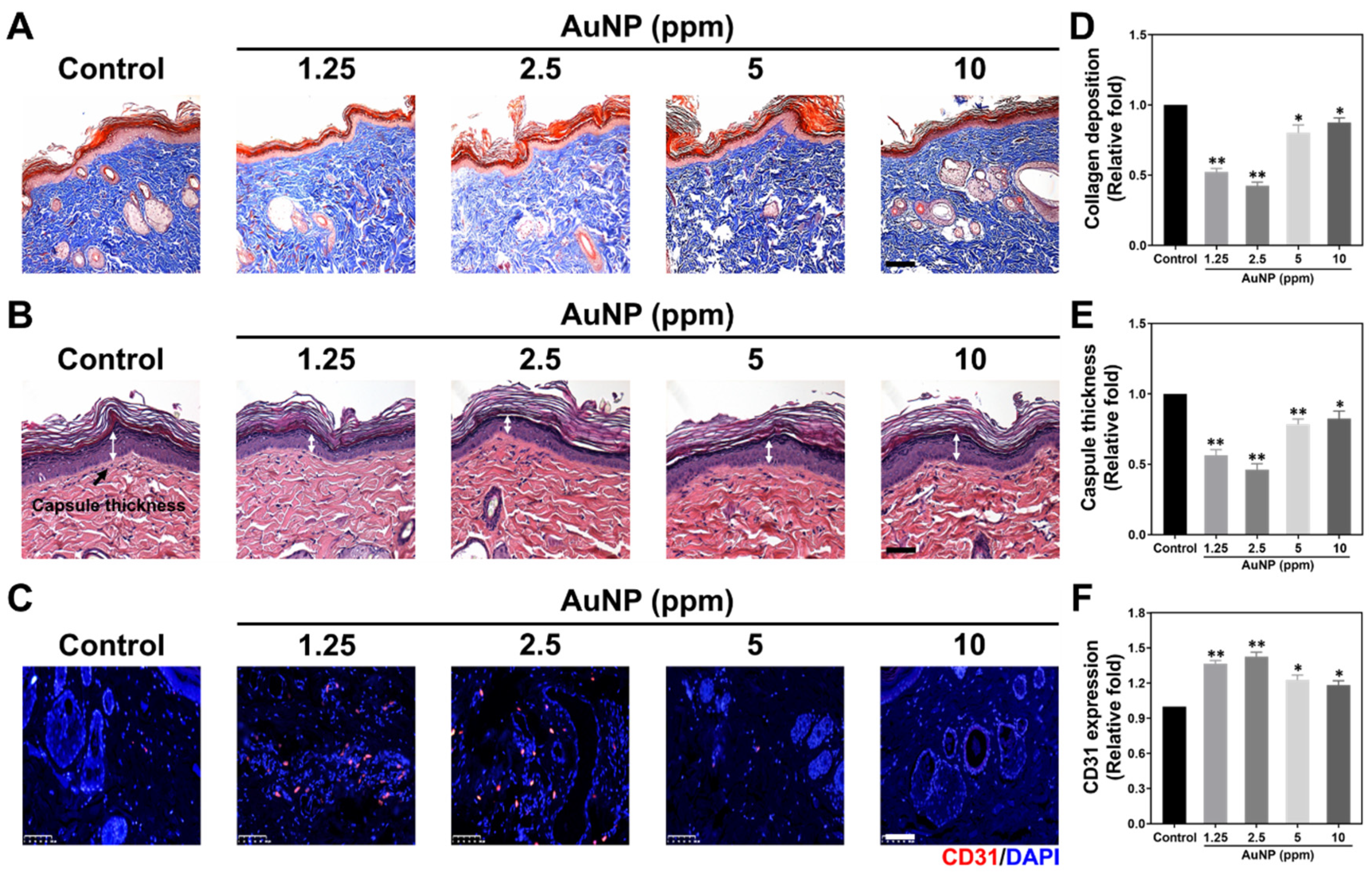 Ijms 24 00005 g010 Ijms 24 00005 g010