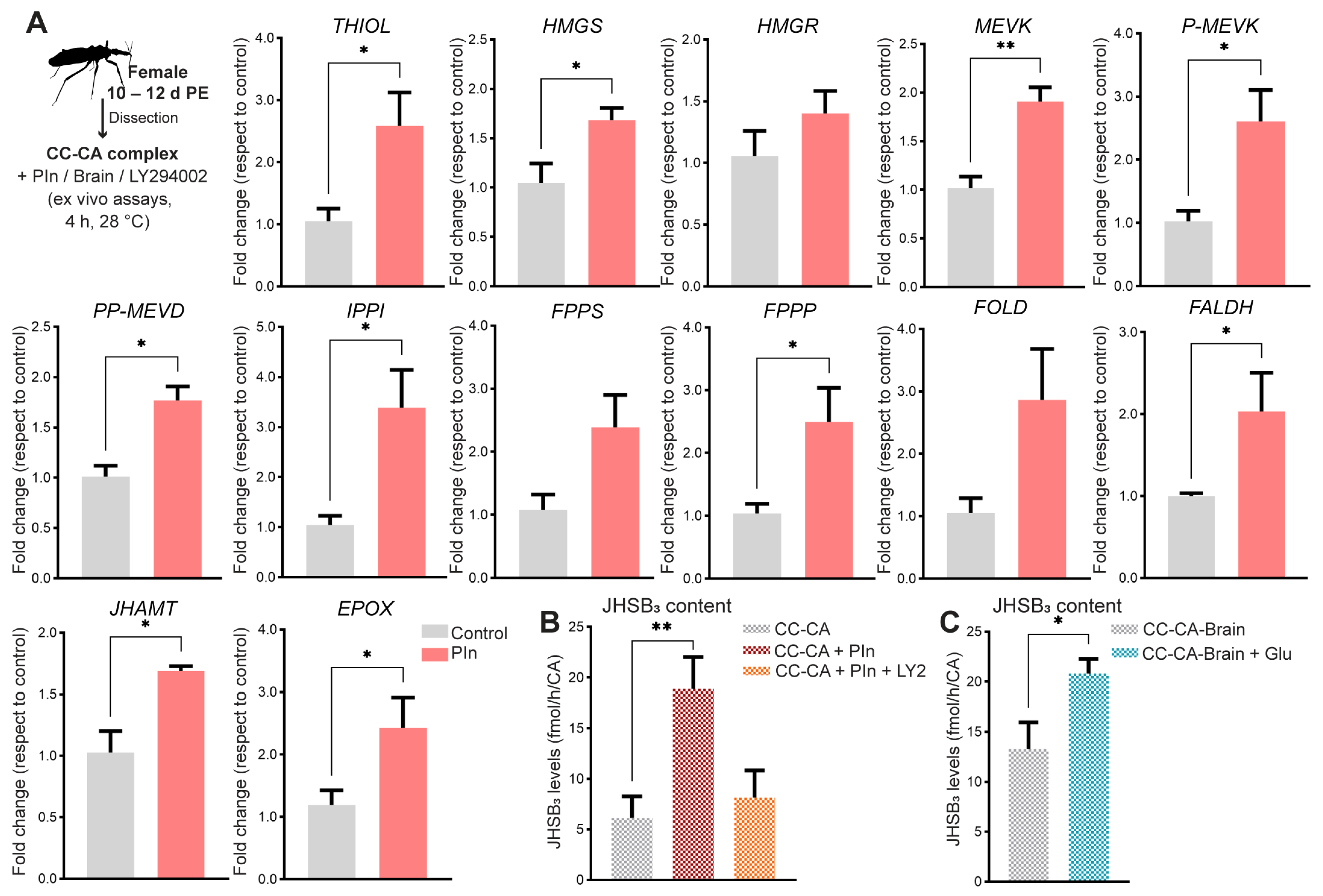 Ijms 24 00007 g004 Ijms 24 00007 g004