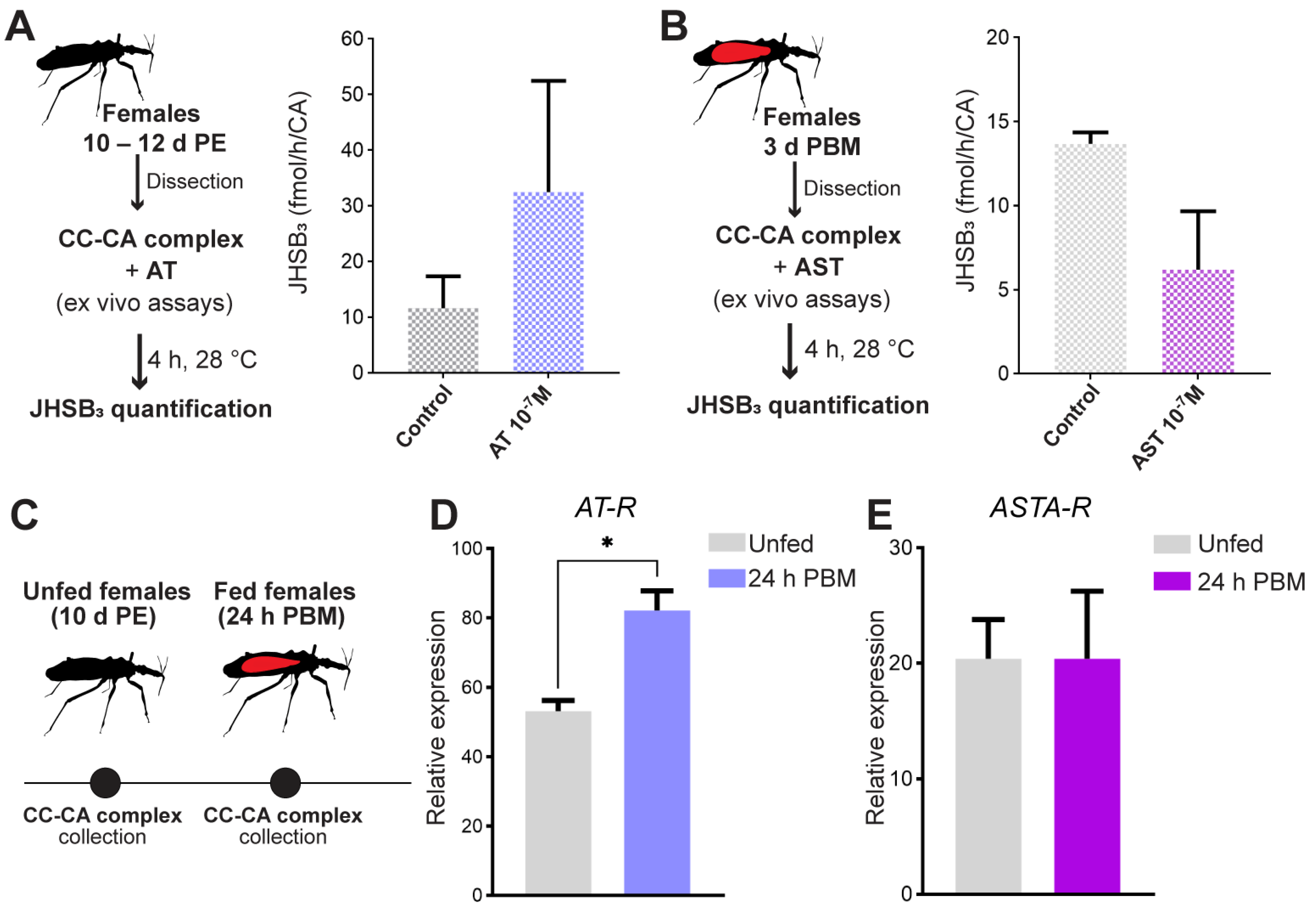 Ijms 24 00007 g006 Ijms 24 00007 g006