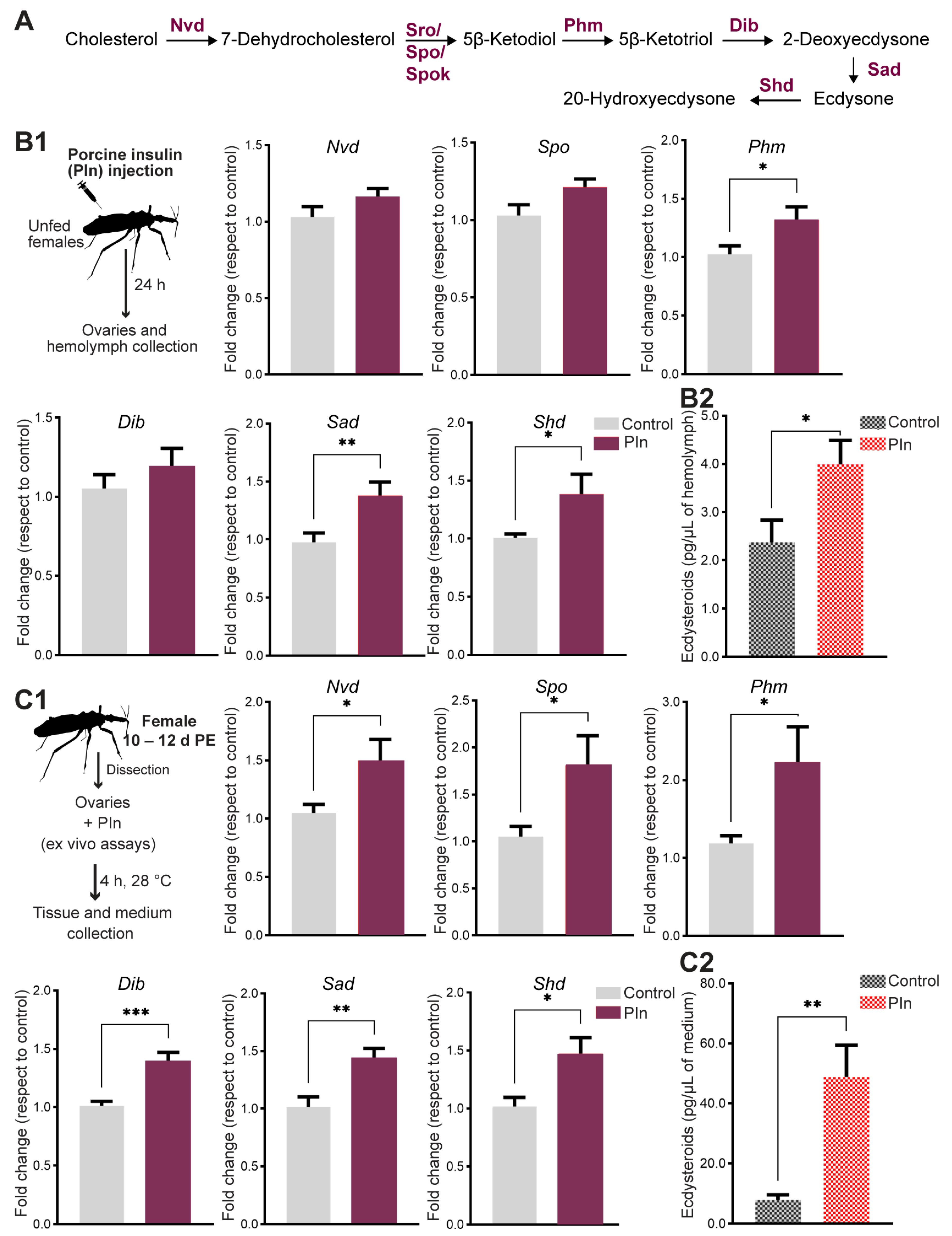 Ijms 24 00007 g007 Ijms 24 00007 g007