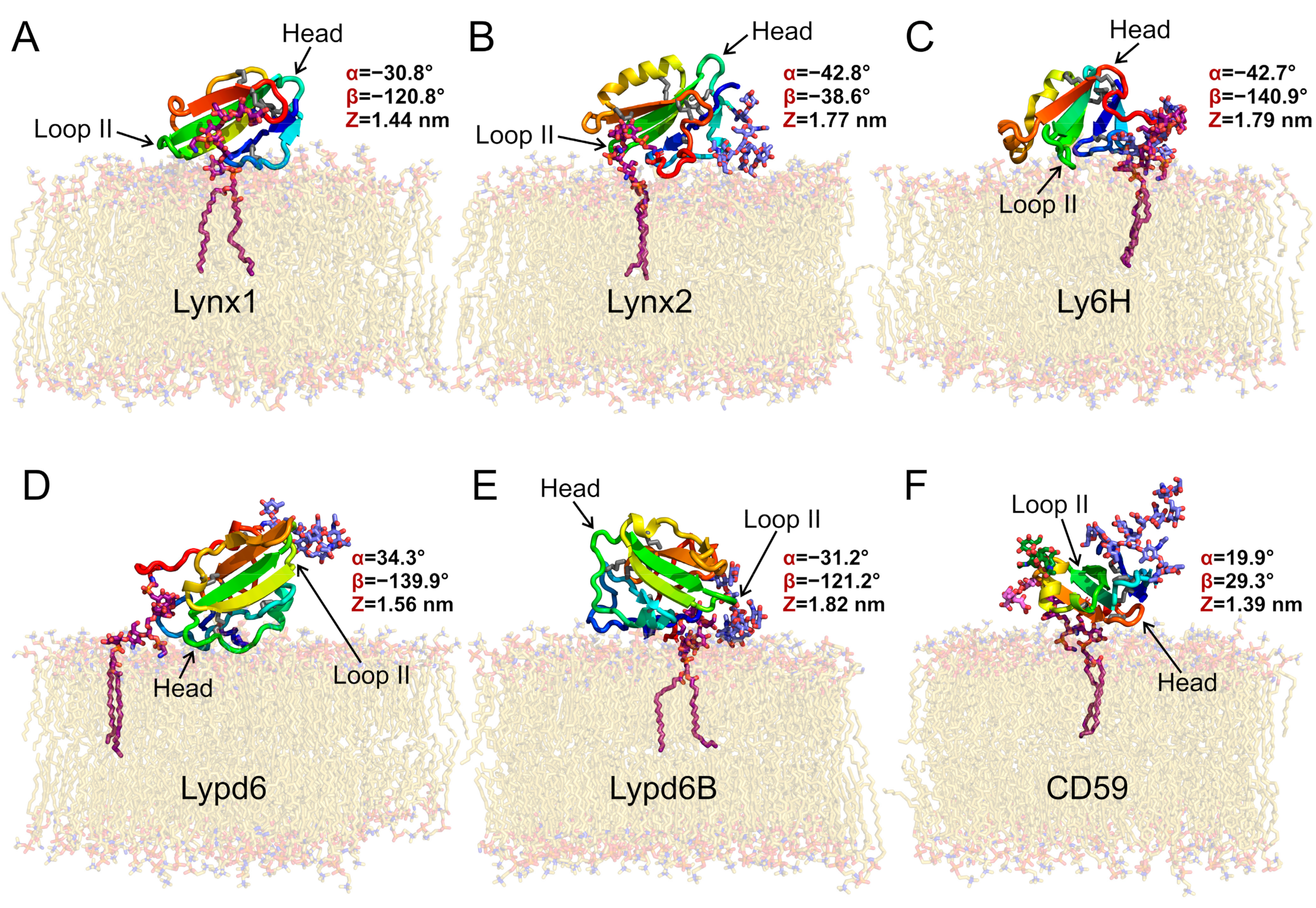 Ijms 24 00011 g001 Ijms 24 00011 g001