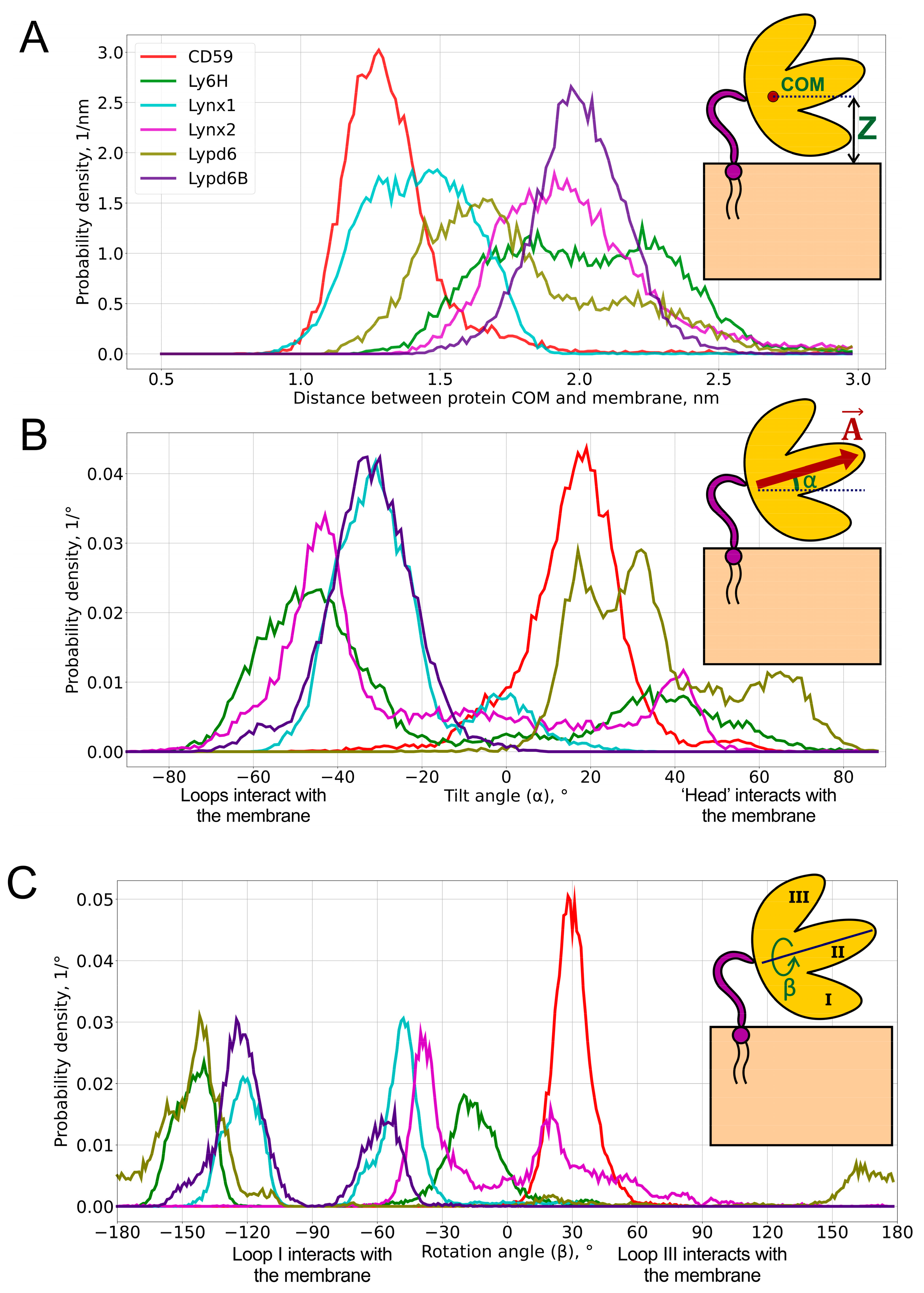Ijms 24 00011 g002 Ijms 24 00011 g002