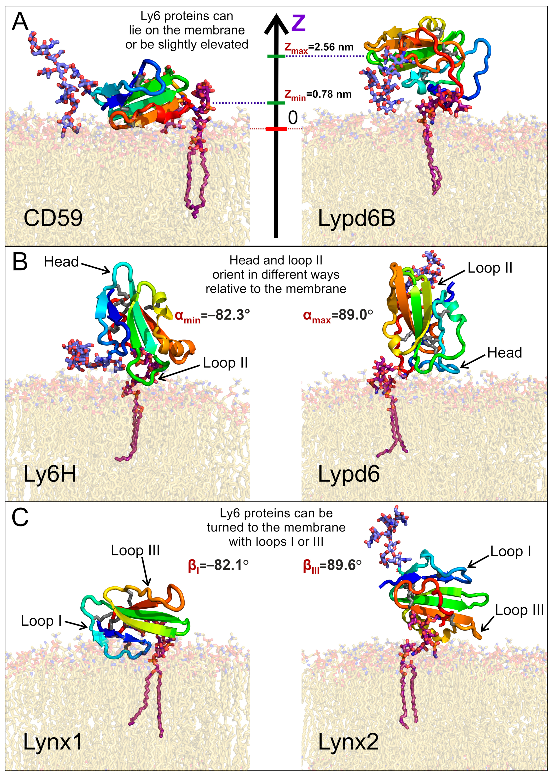 Ijms 24 00011 g003 Ijms 24 00011 g003