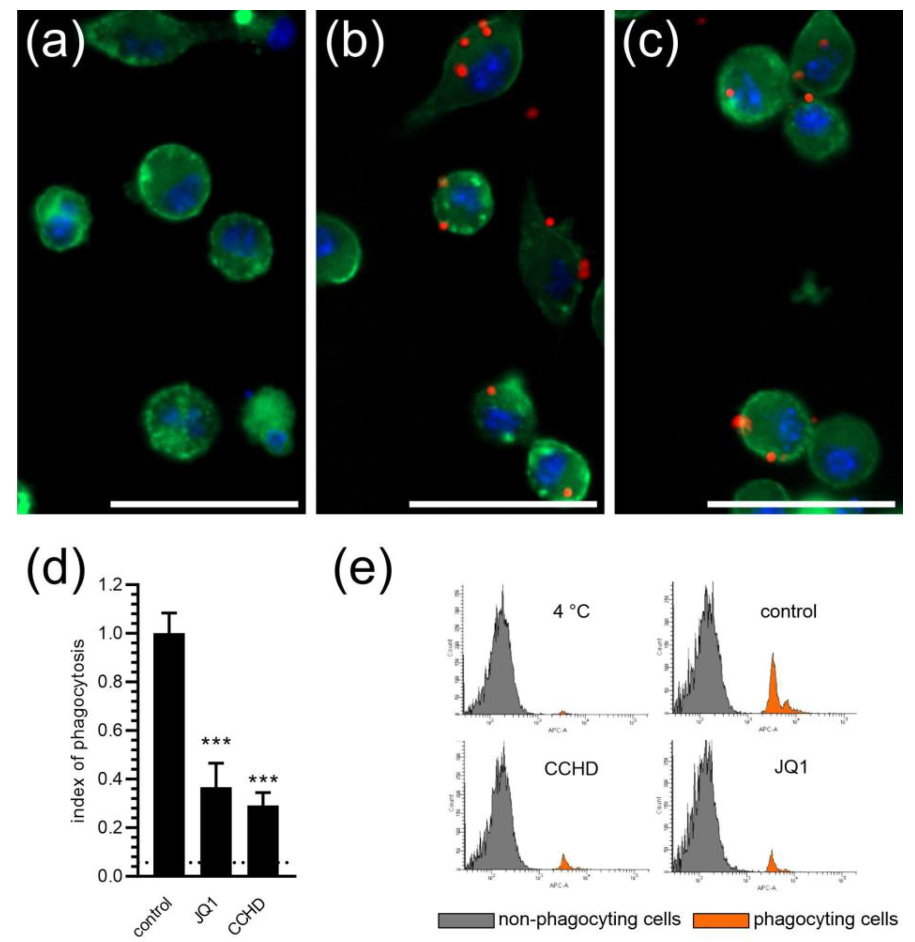 Ijms 24 00013 g002 Ijms 24 00013 g002