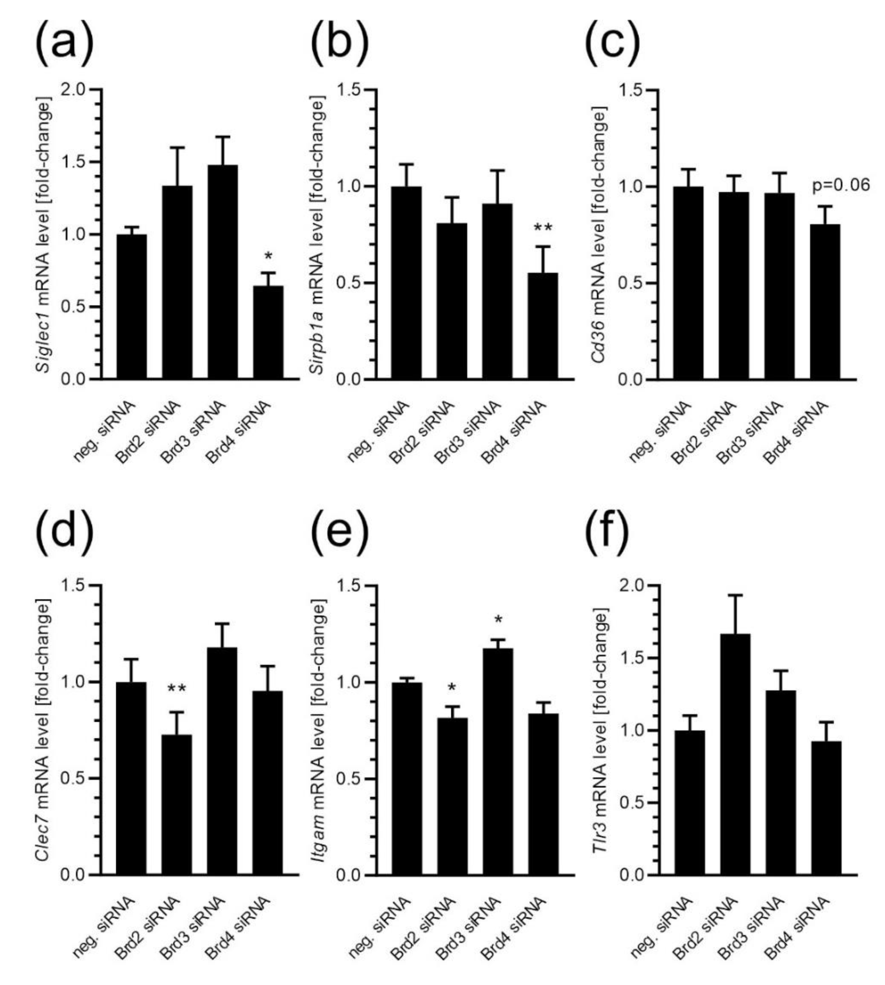 Ijms 24 00013 g007 Ijms 24 00013 g007
