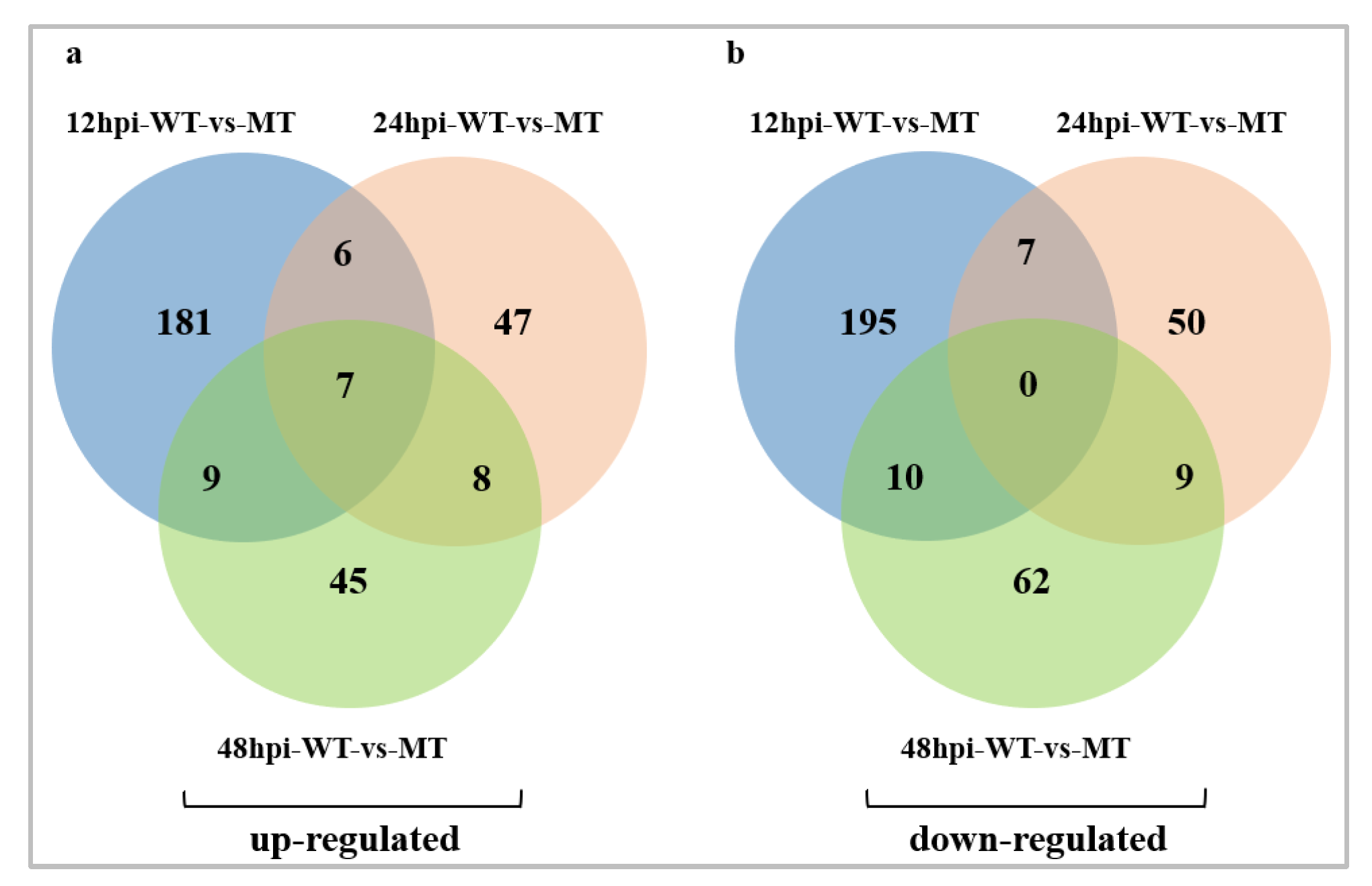Ijms 24 00014 g002 Ijms 24 00014 g002