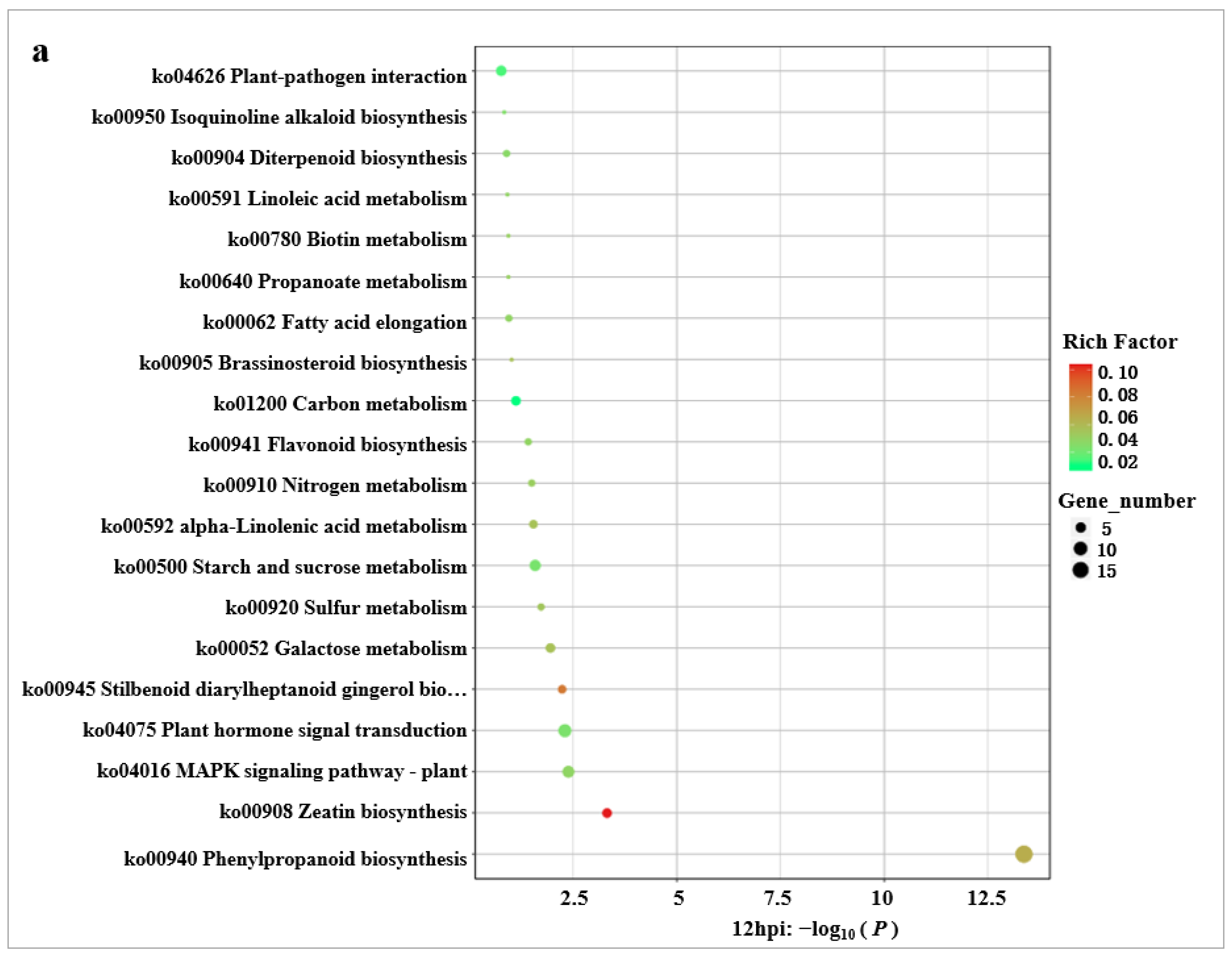 Ijms 24 00014 g004a Ijms 24 00014 g004a