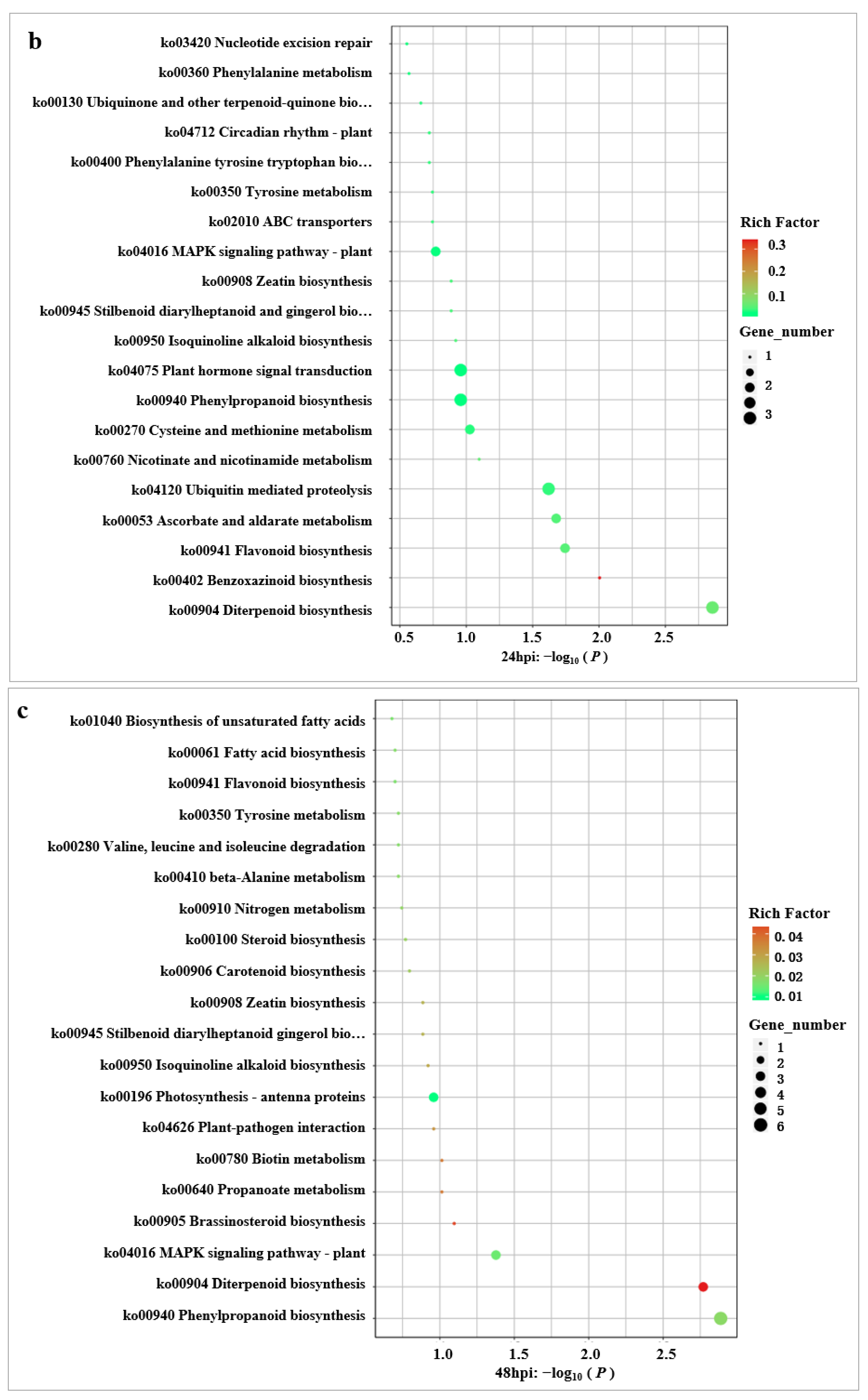 Ijms 24 00014 g004b Ijms 24 00014 g004b