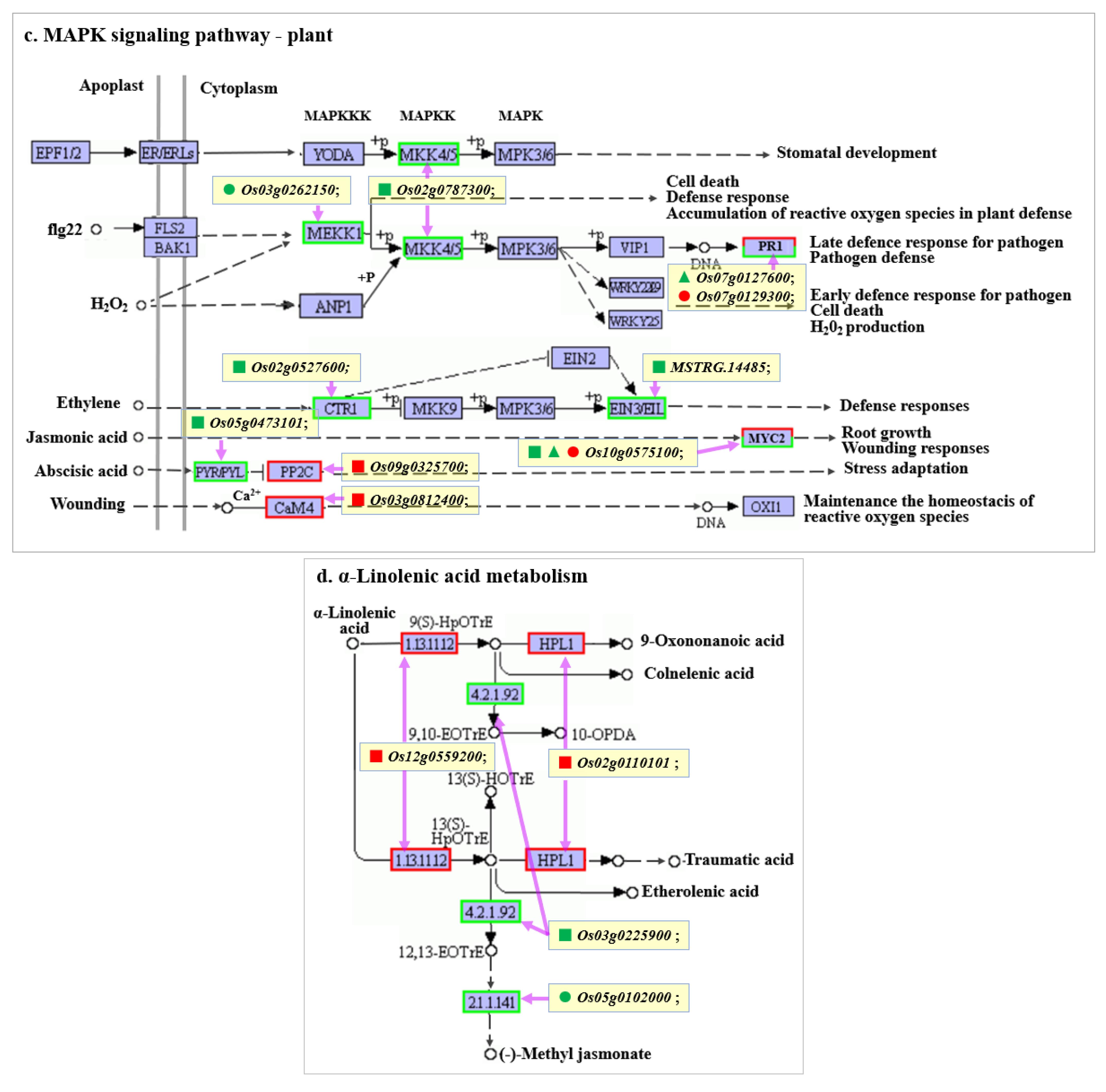 Ijms 24 00014 g005b Ijms 24 00014 g005b