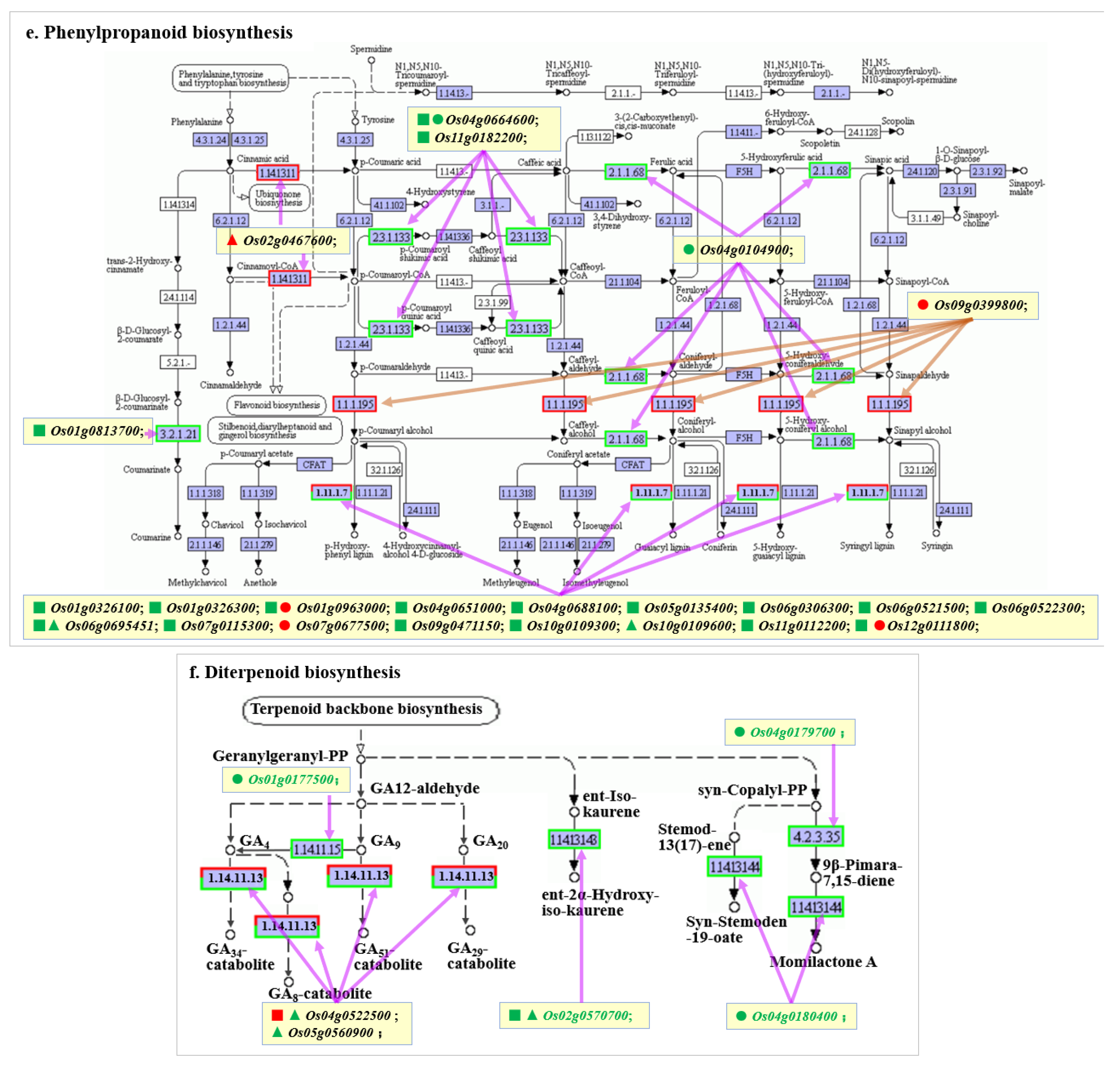 Ijms 24 00014 g005c Ijms 24 00014 g005c
