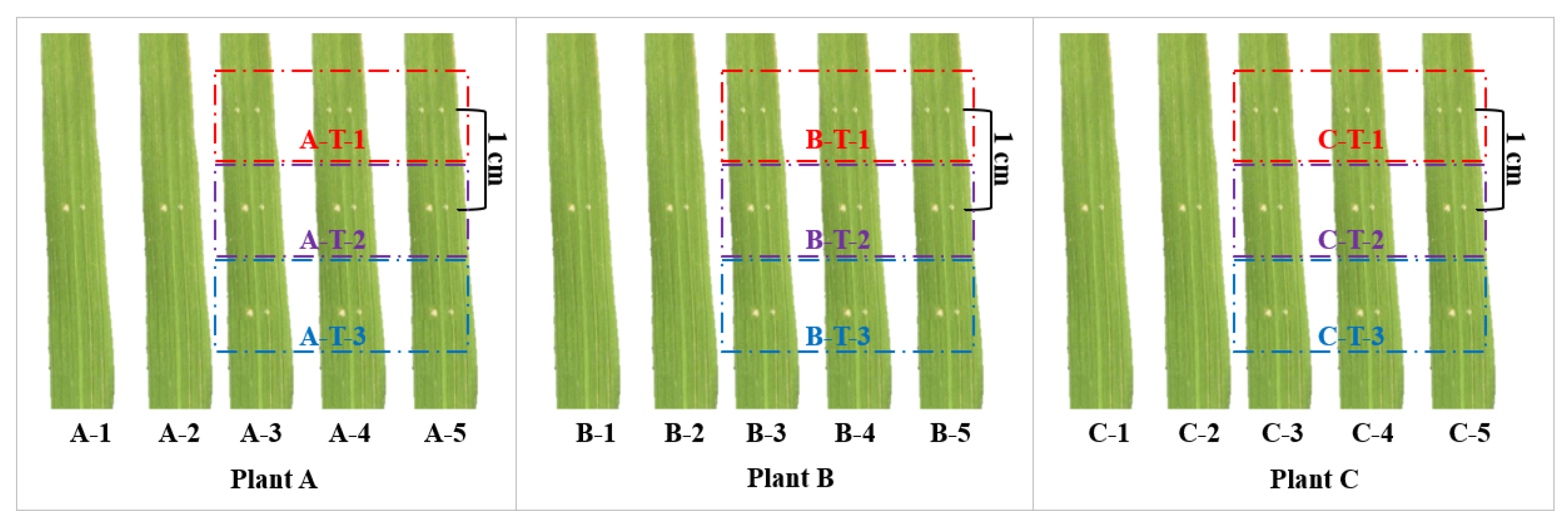 Ijms 24 00014 g007 Ijms 24 00014 g007