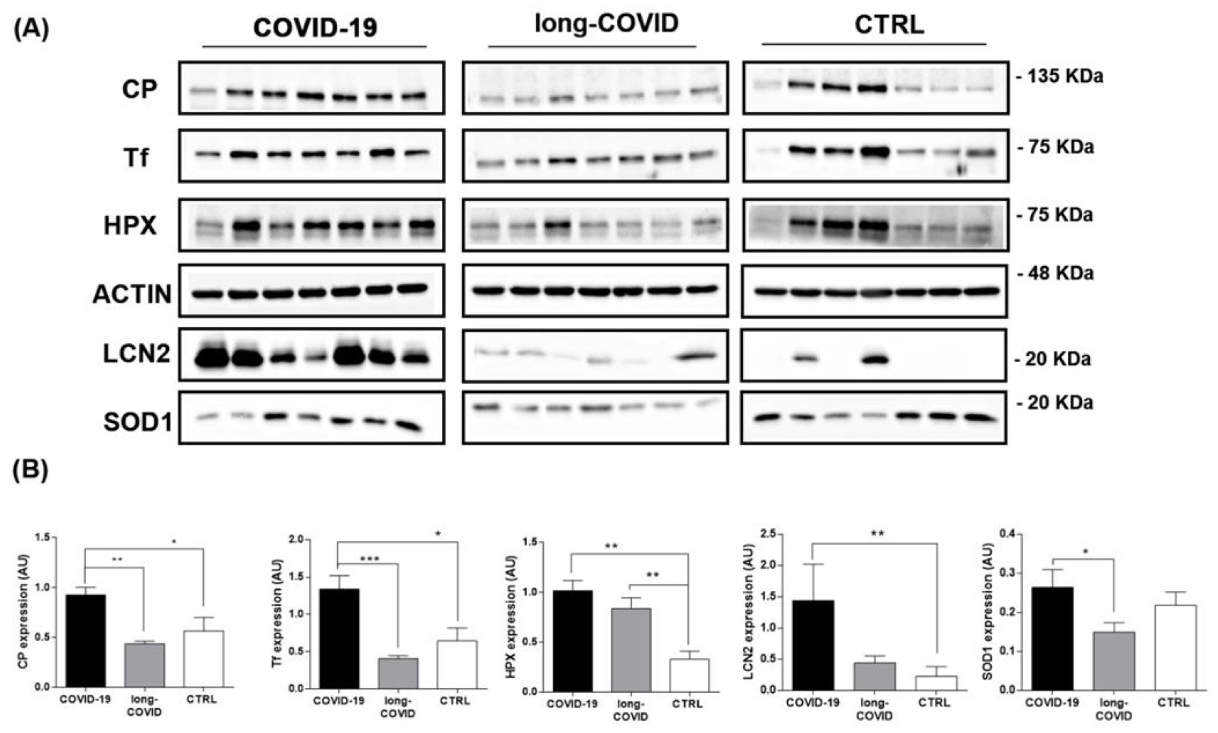 Ijms 24 00015 g002 Ijms 24 00015 g002