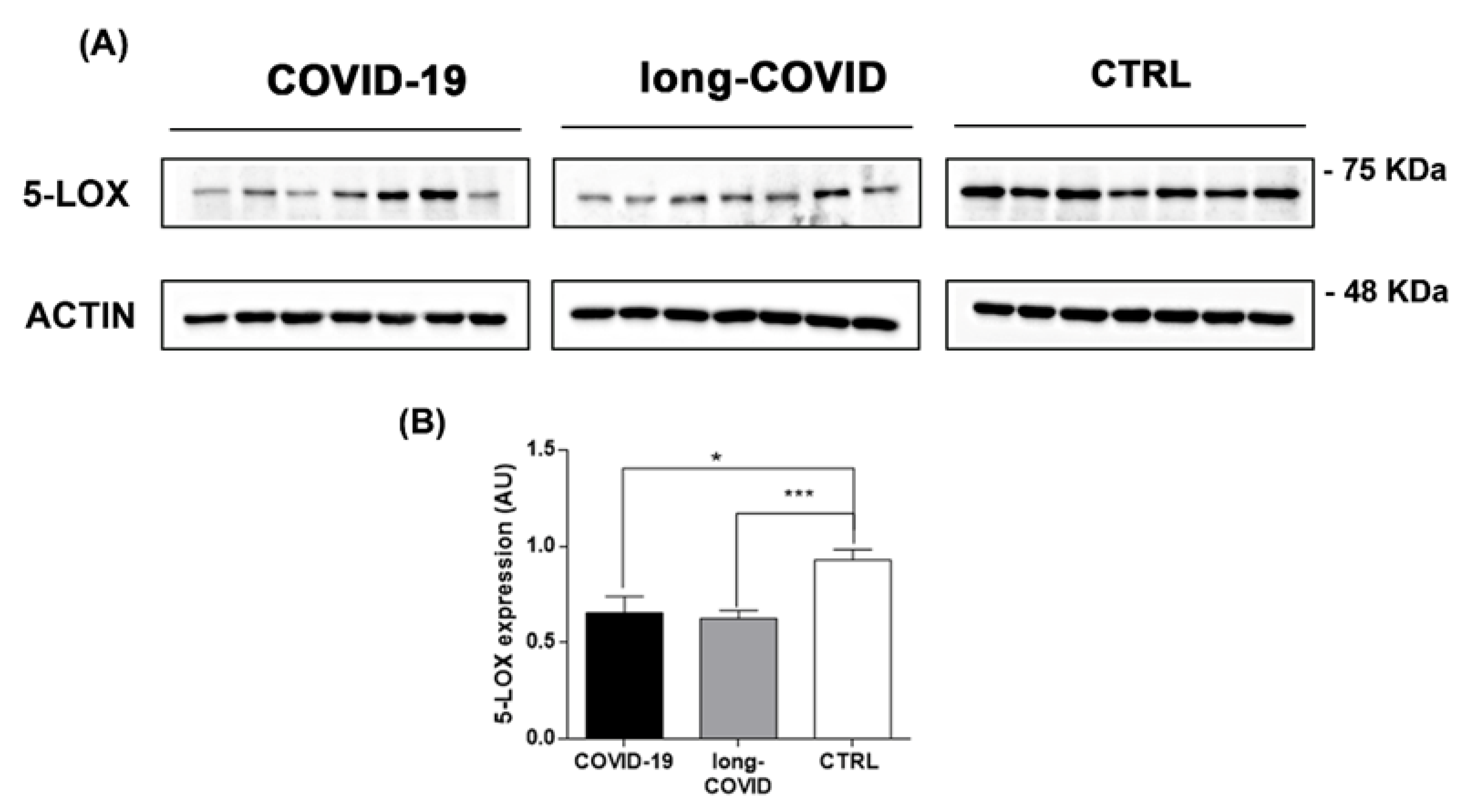 Ijms 24 00015 g003 Ijms 24 00015 g003